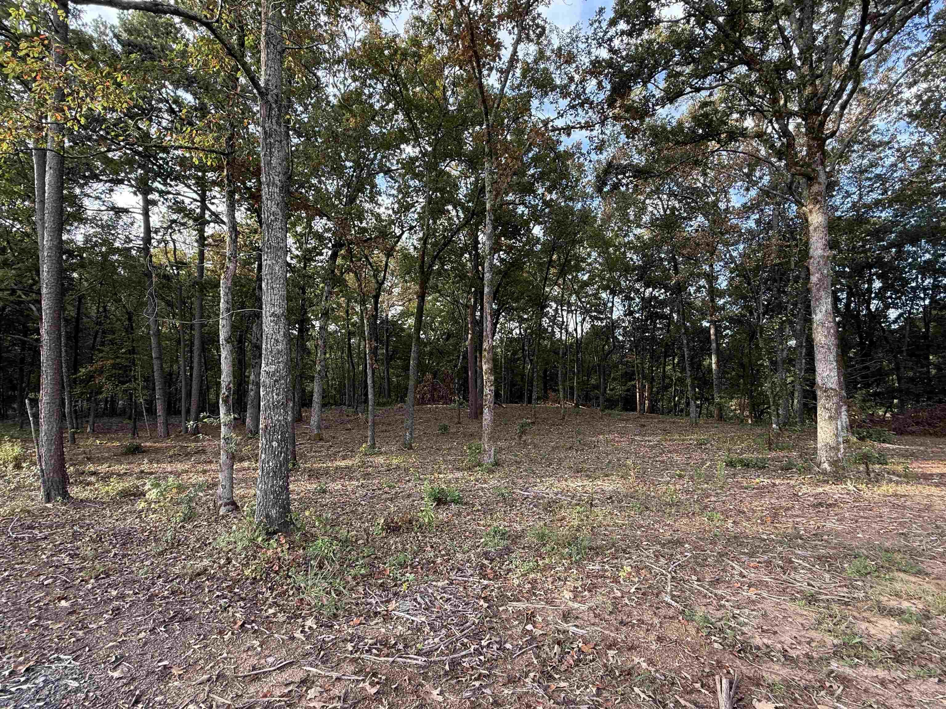 1 River Way Rd.  Pangburn, AR