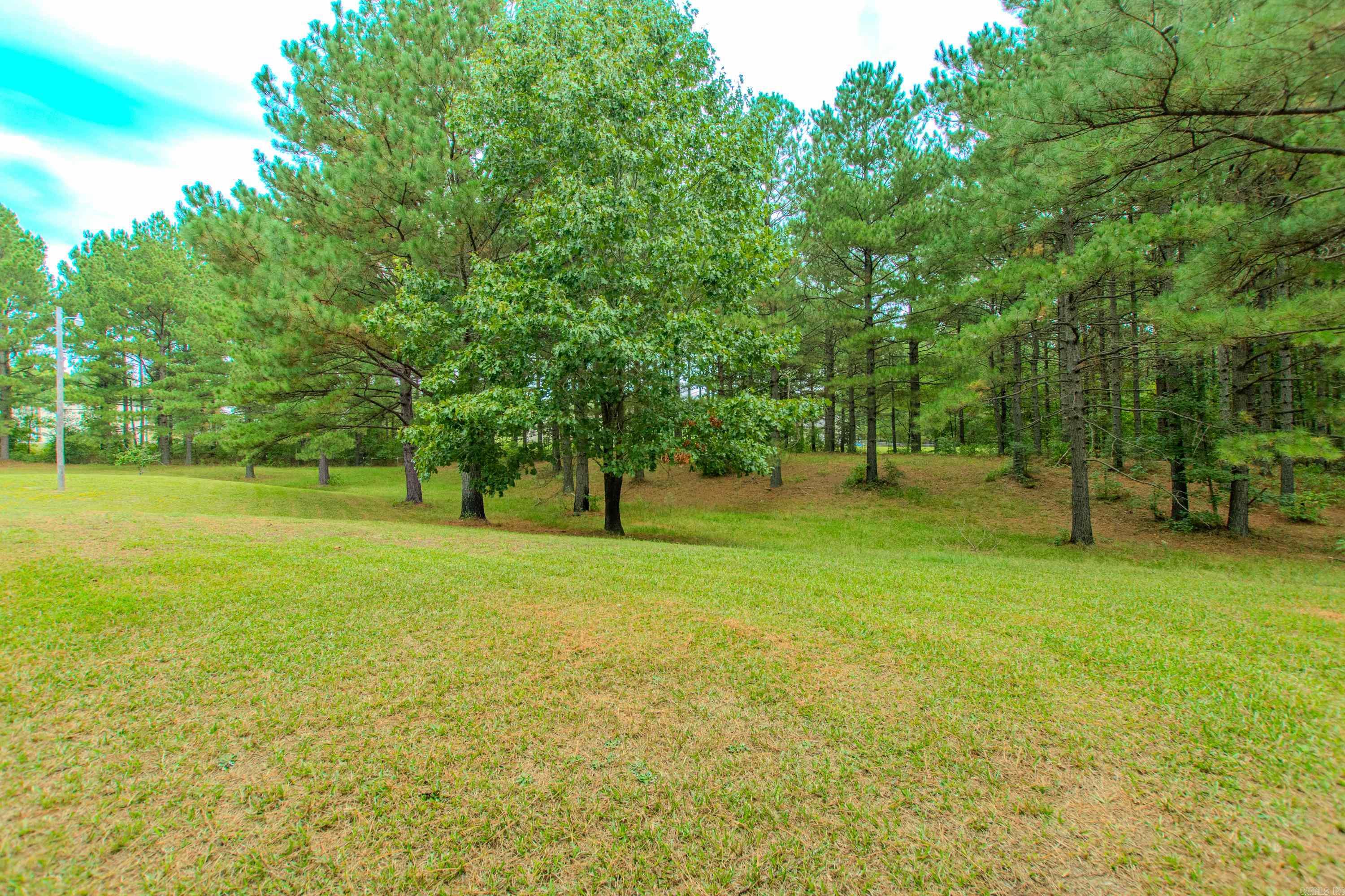 9082 Mars Hill Road  Bauxite, AR