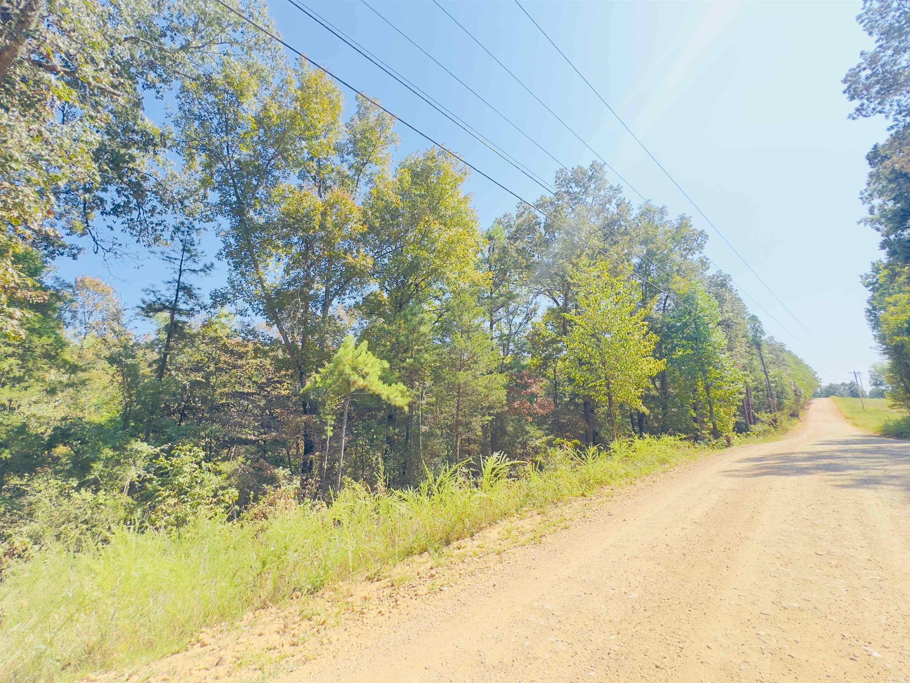 3601 Jumbo  Melbourne, AR