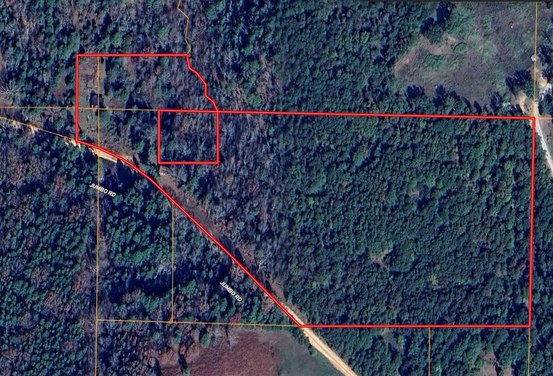 3601 Jumbo  Melbourne, AR