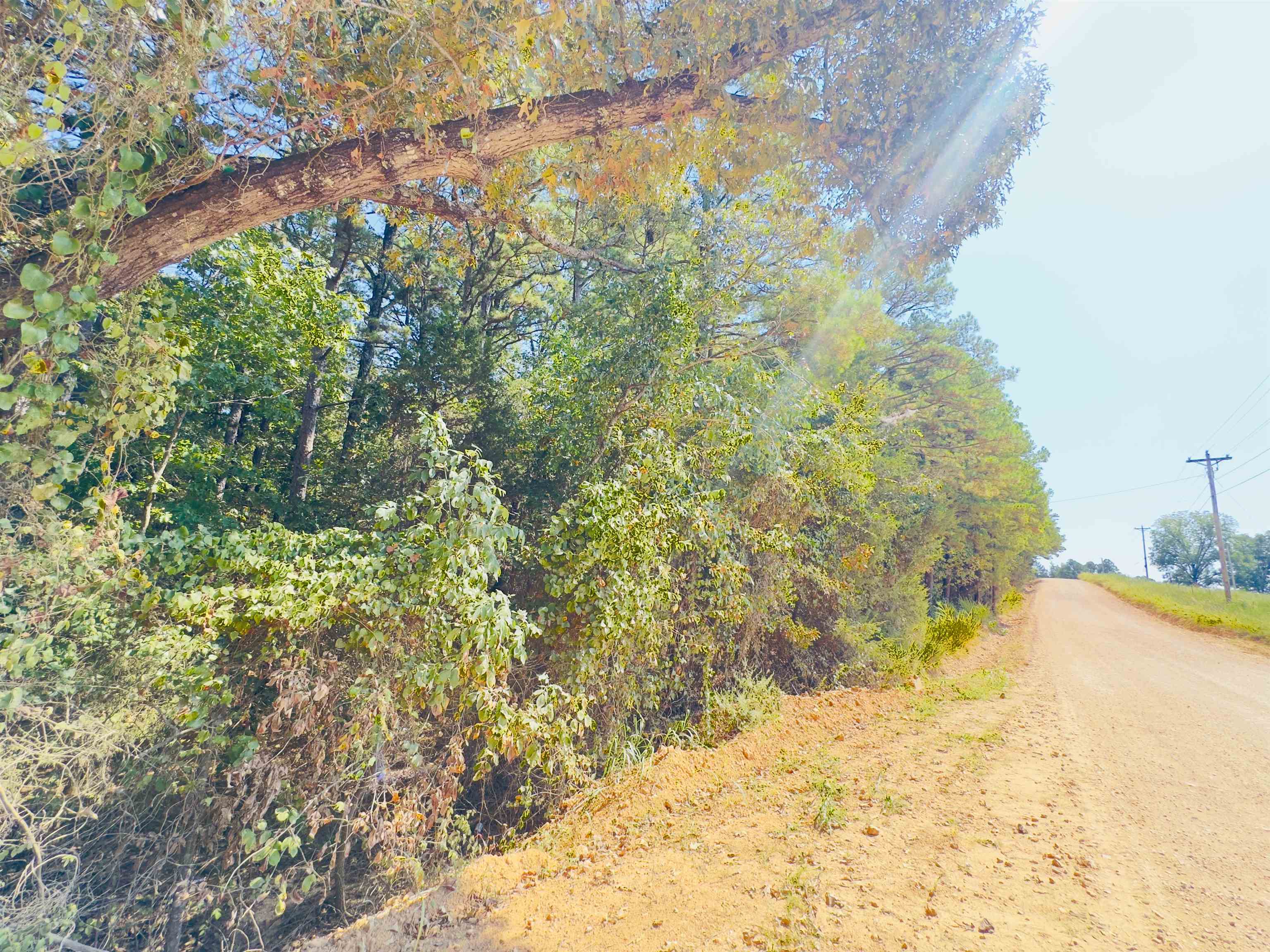 3601 Jumbo  Melbourne, AR