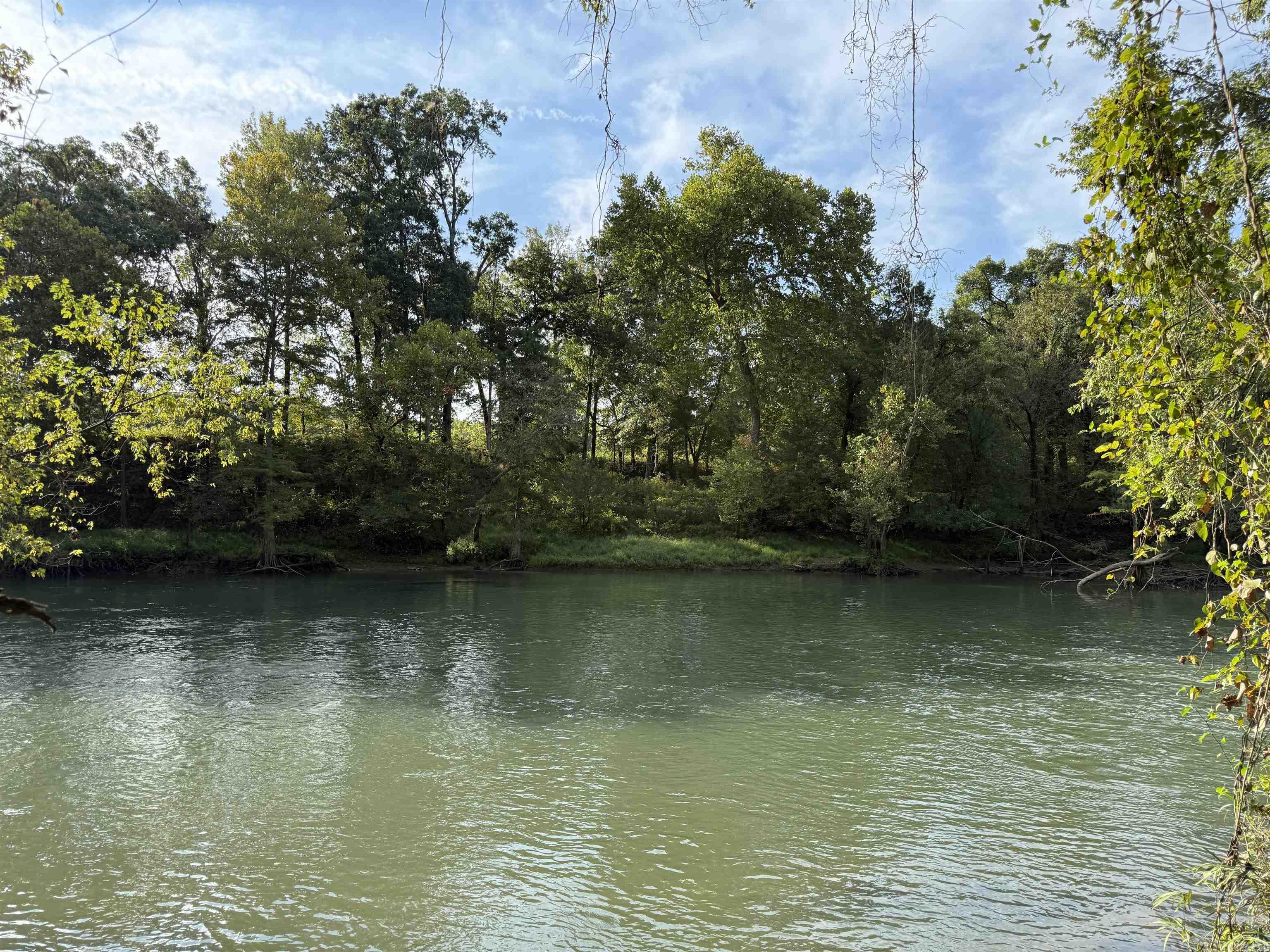000 Old River Rd.  Pangburn, AR