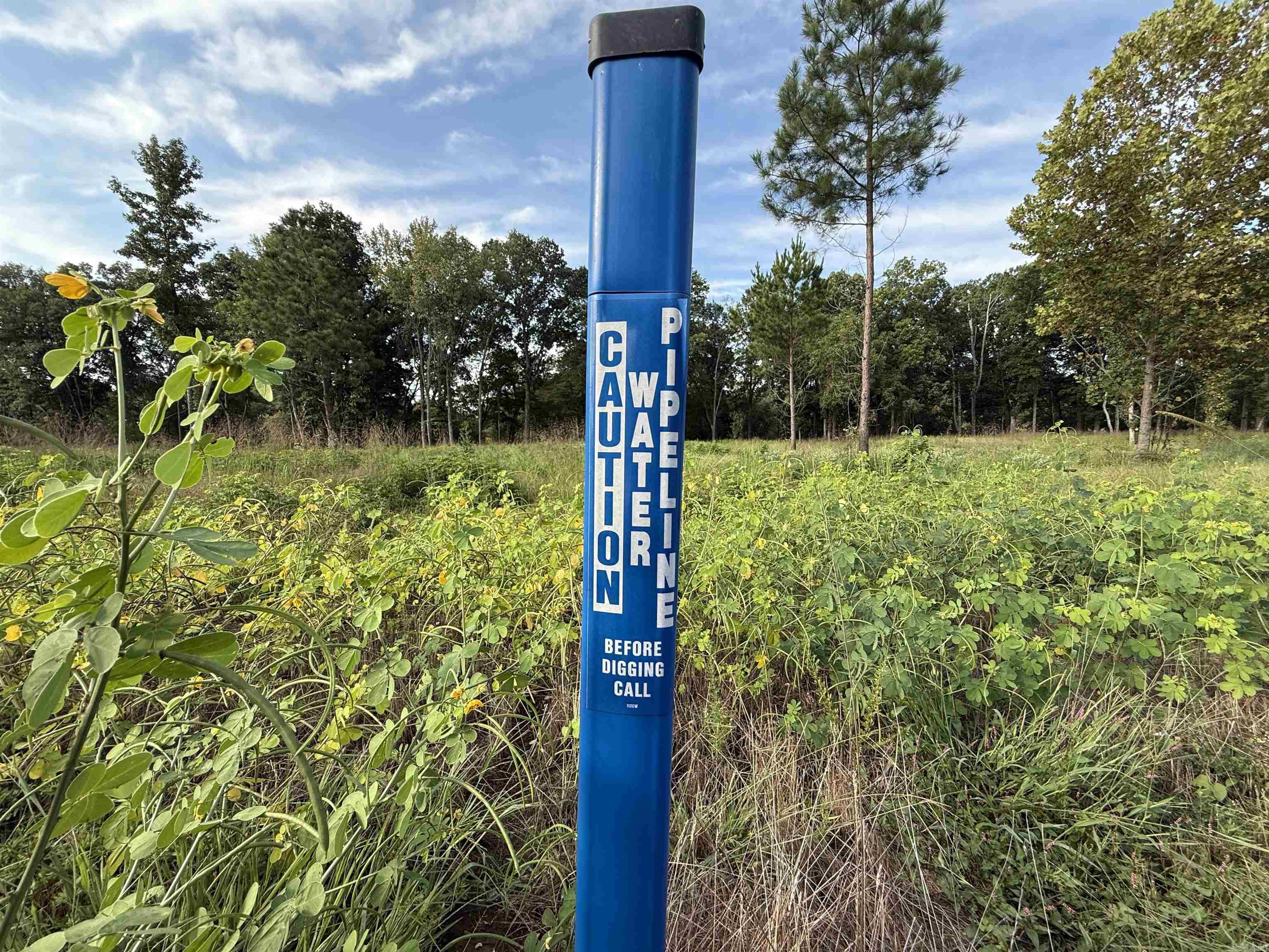 000 Old River Rd.  Pangburn, AR