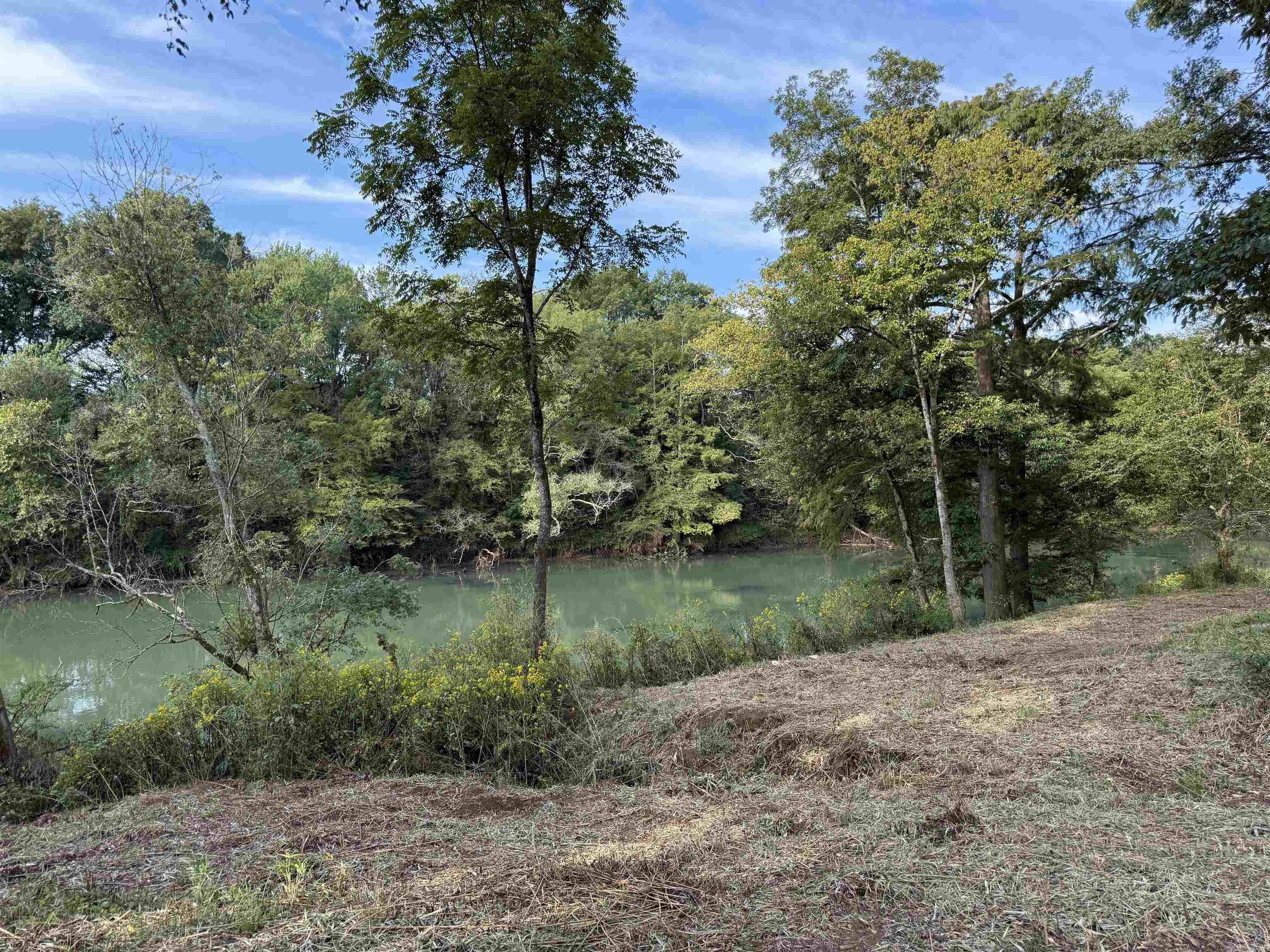 000 Old River Rd.  Pangburn, AR