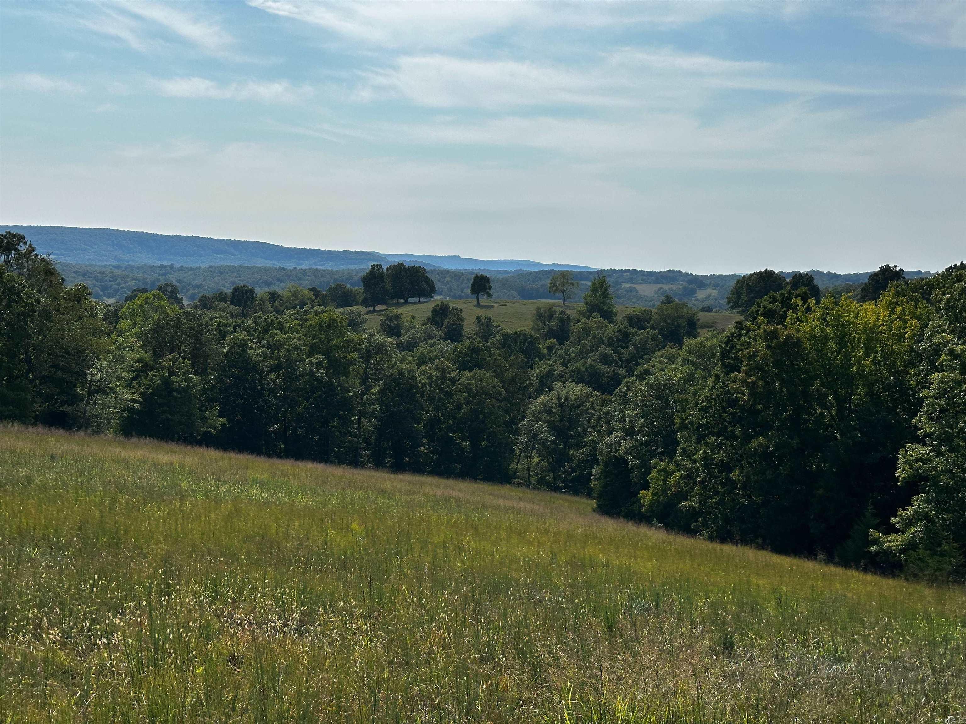 1807 Round Mountain  Marshall, AR