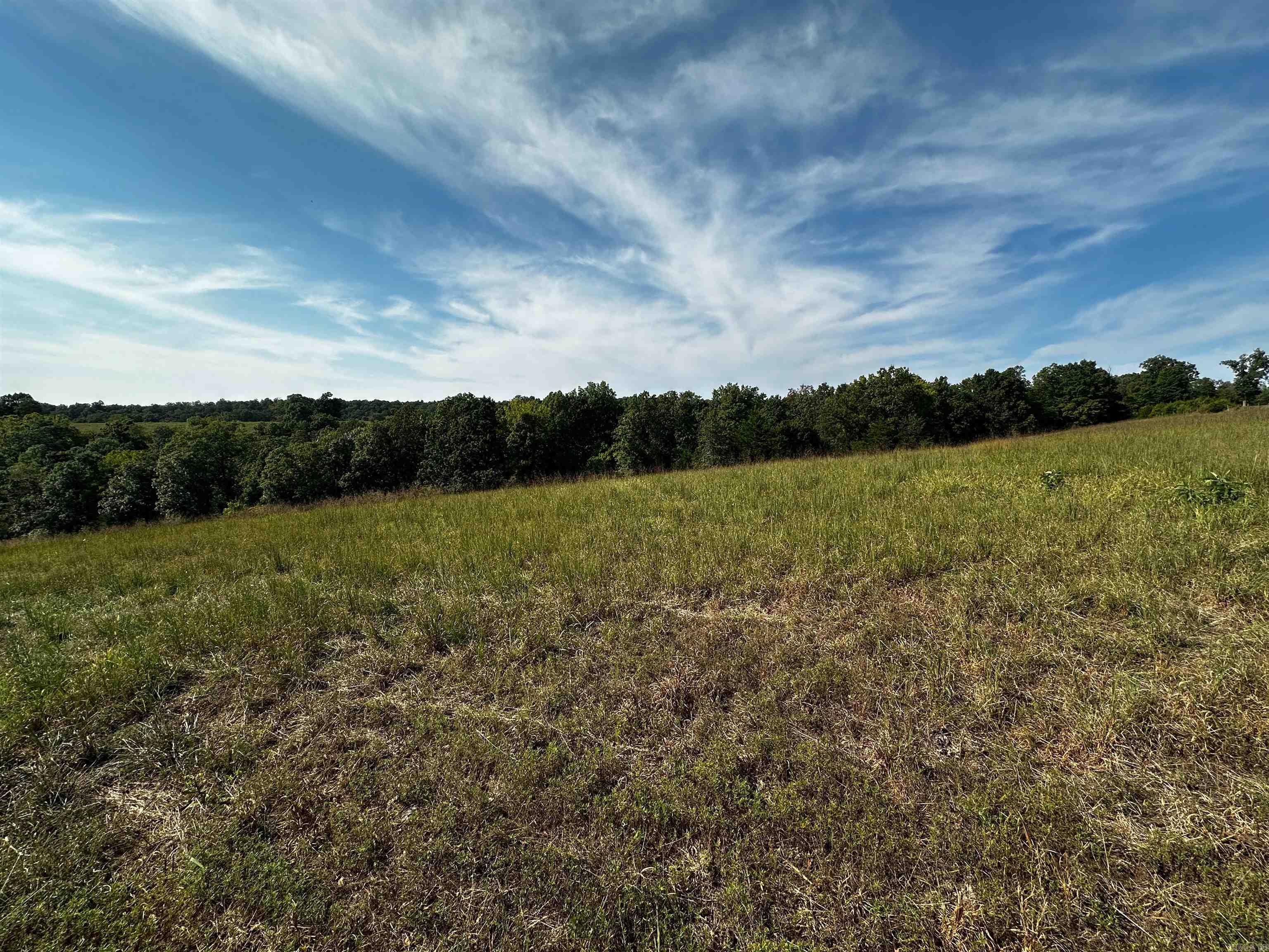 1807 Round Mountain  Marshall, AR
