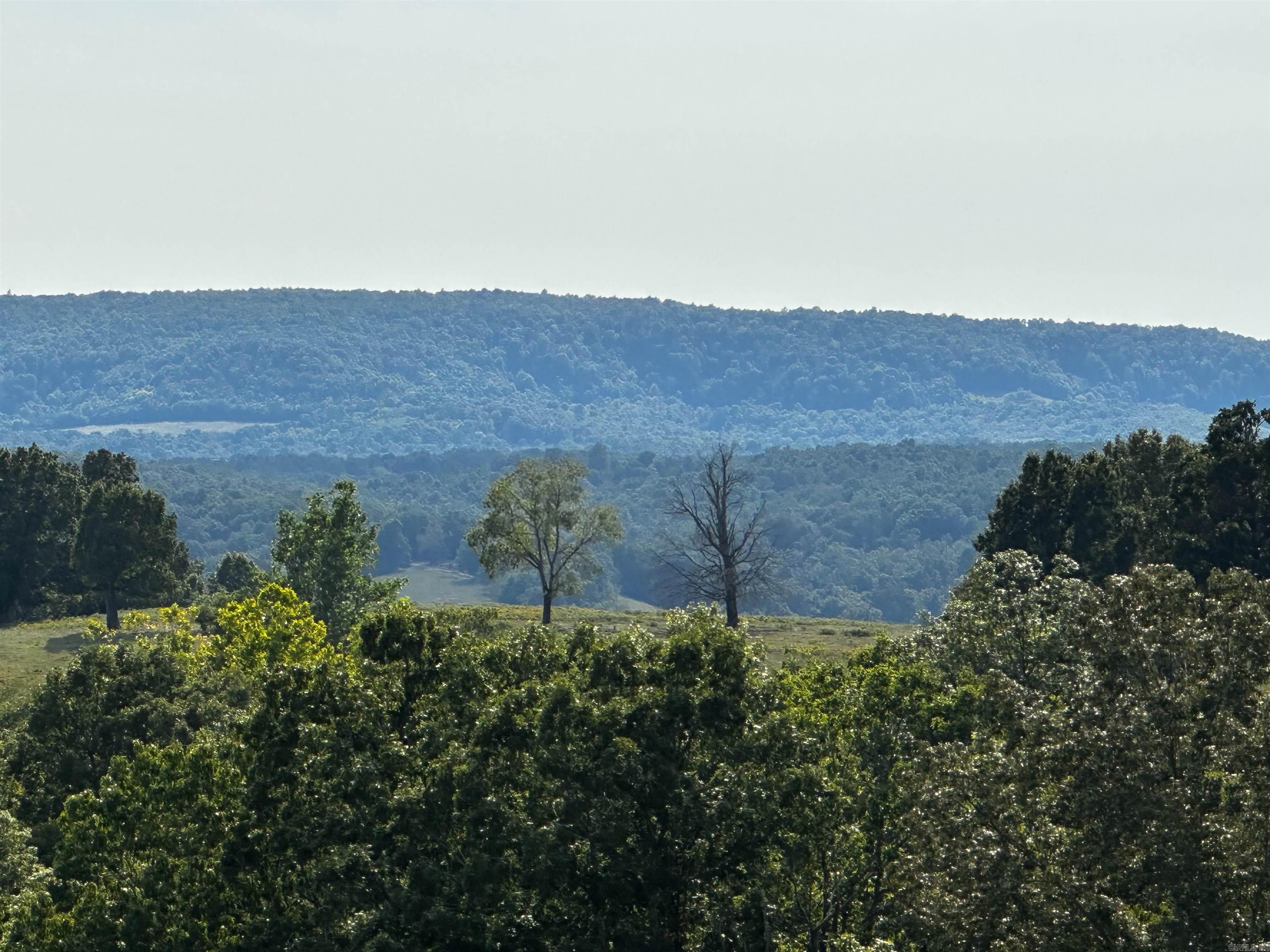 1807 Round Mountain  Marshall, AR