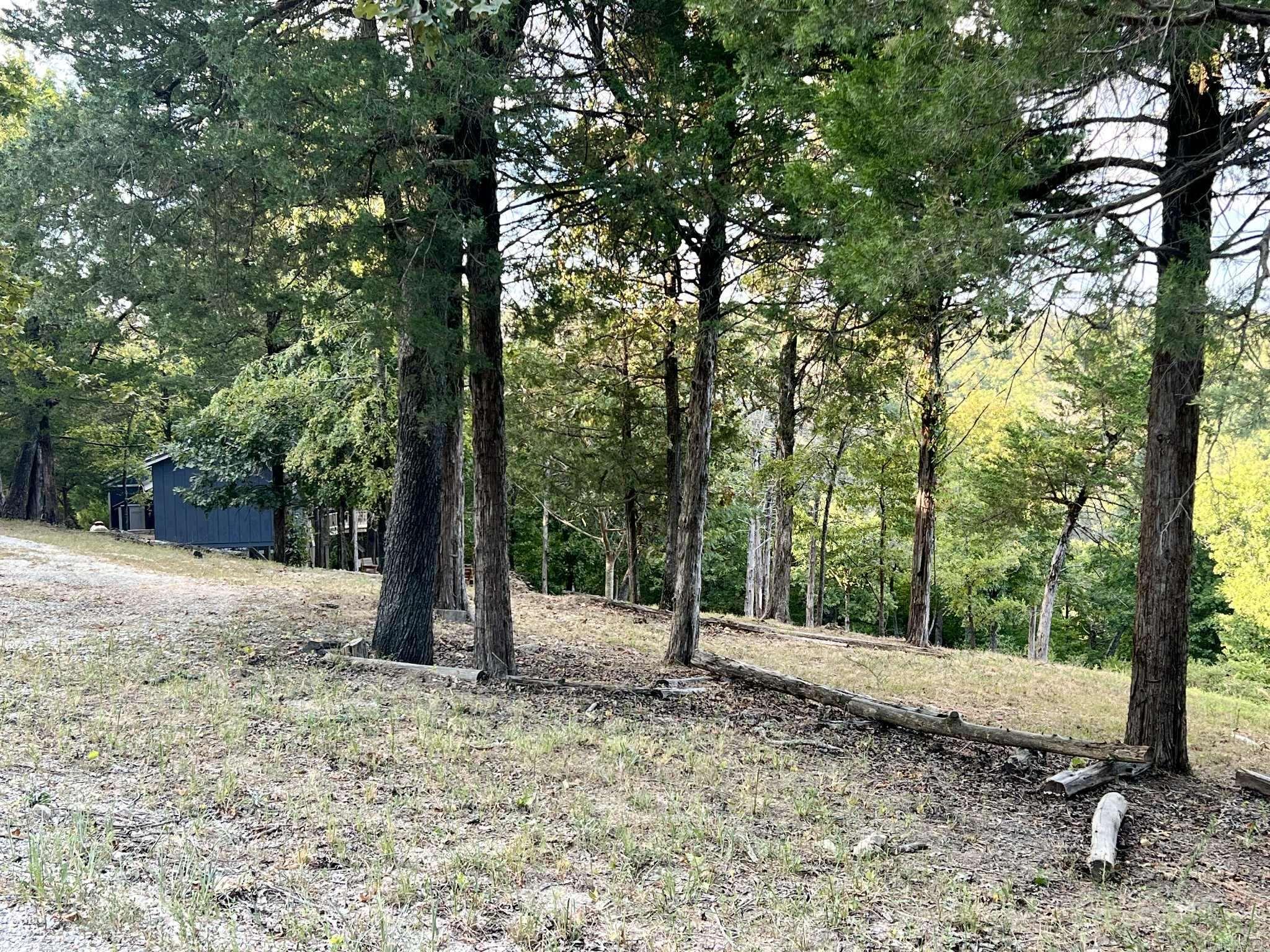 206 CR 137  Henderson, AR