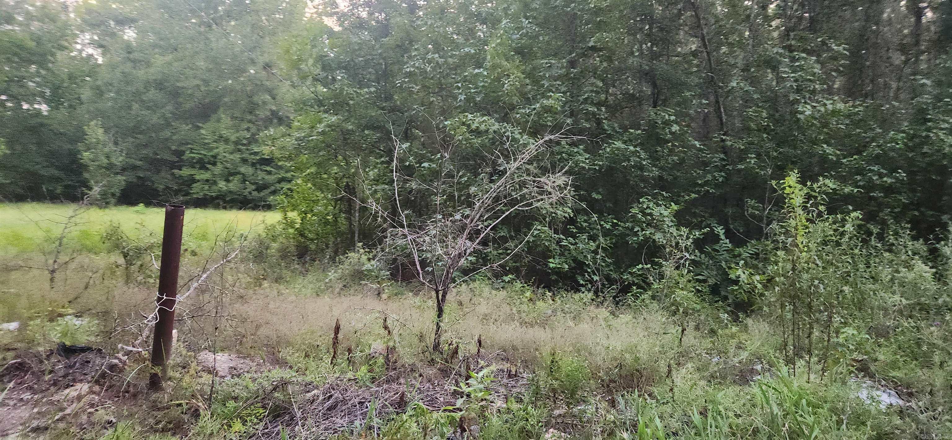 1519 S Redbud St  Pine Bluff, AR