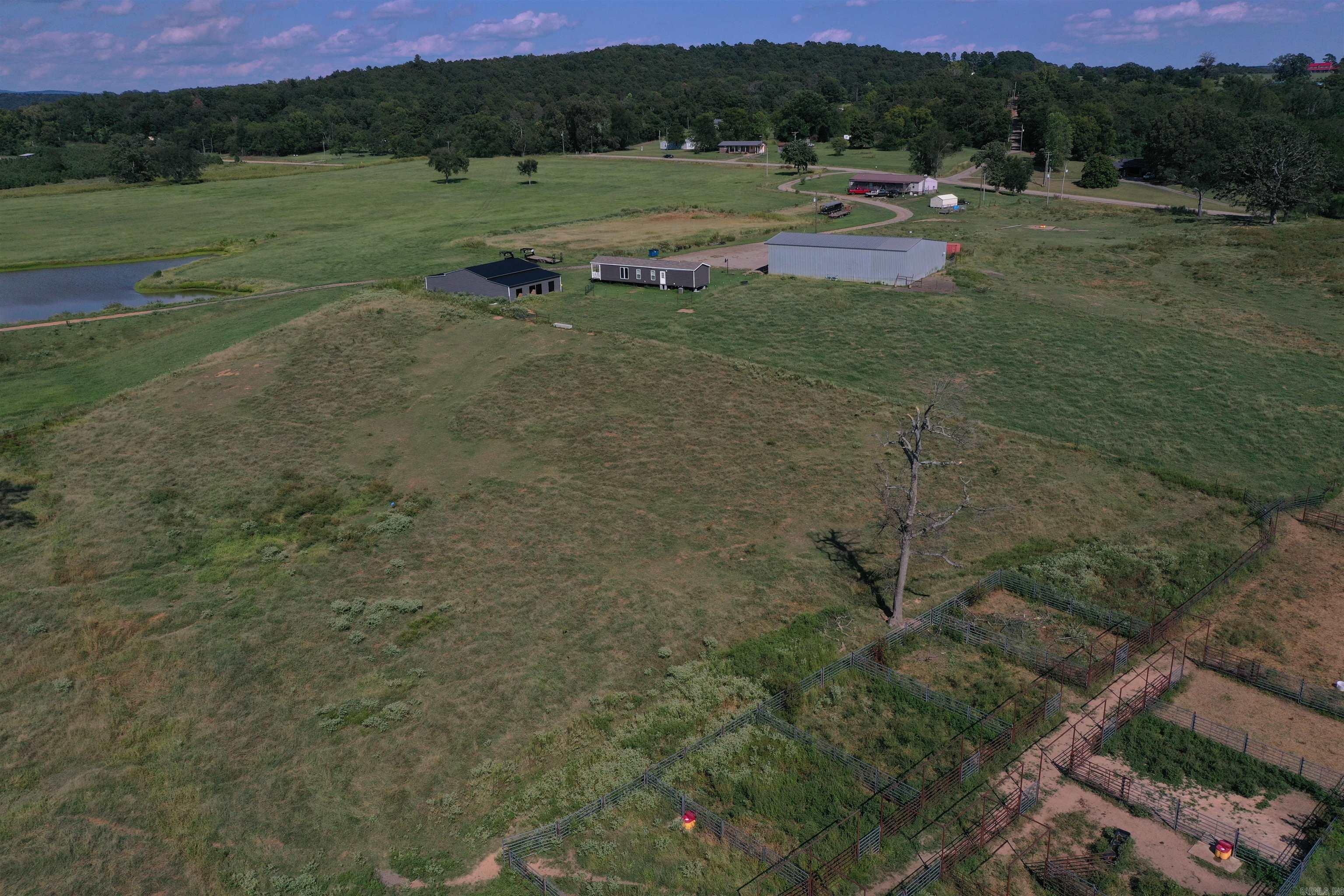 505 SR 164  Hector, AR