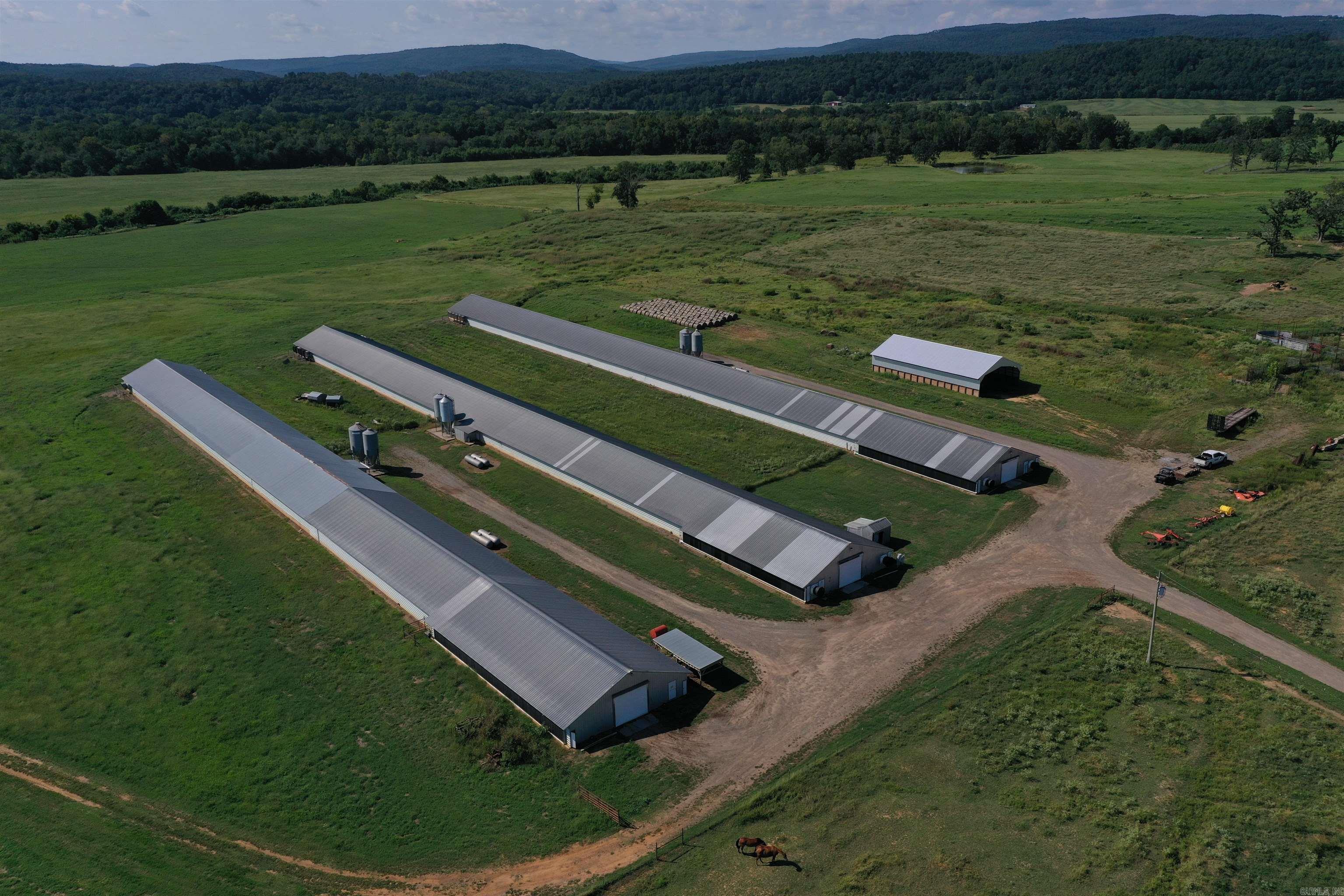 505 SR 164  Hector, AR