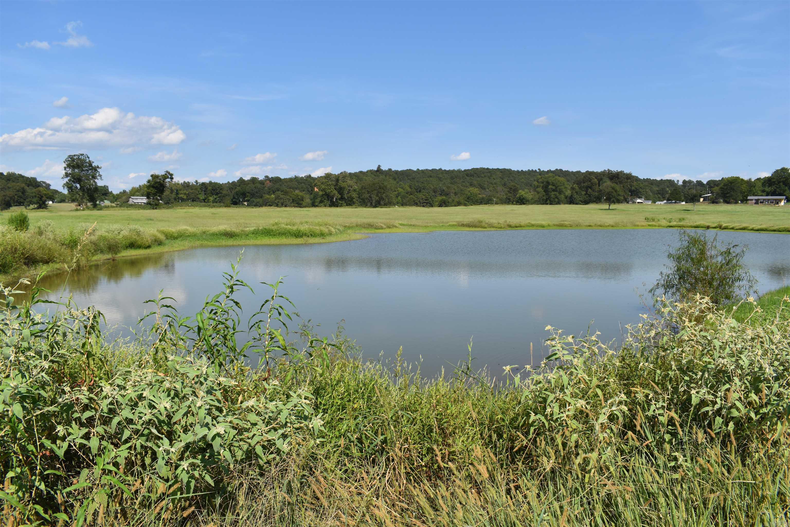 505 SR 164  Hector, AR