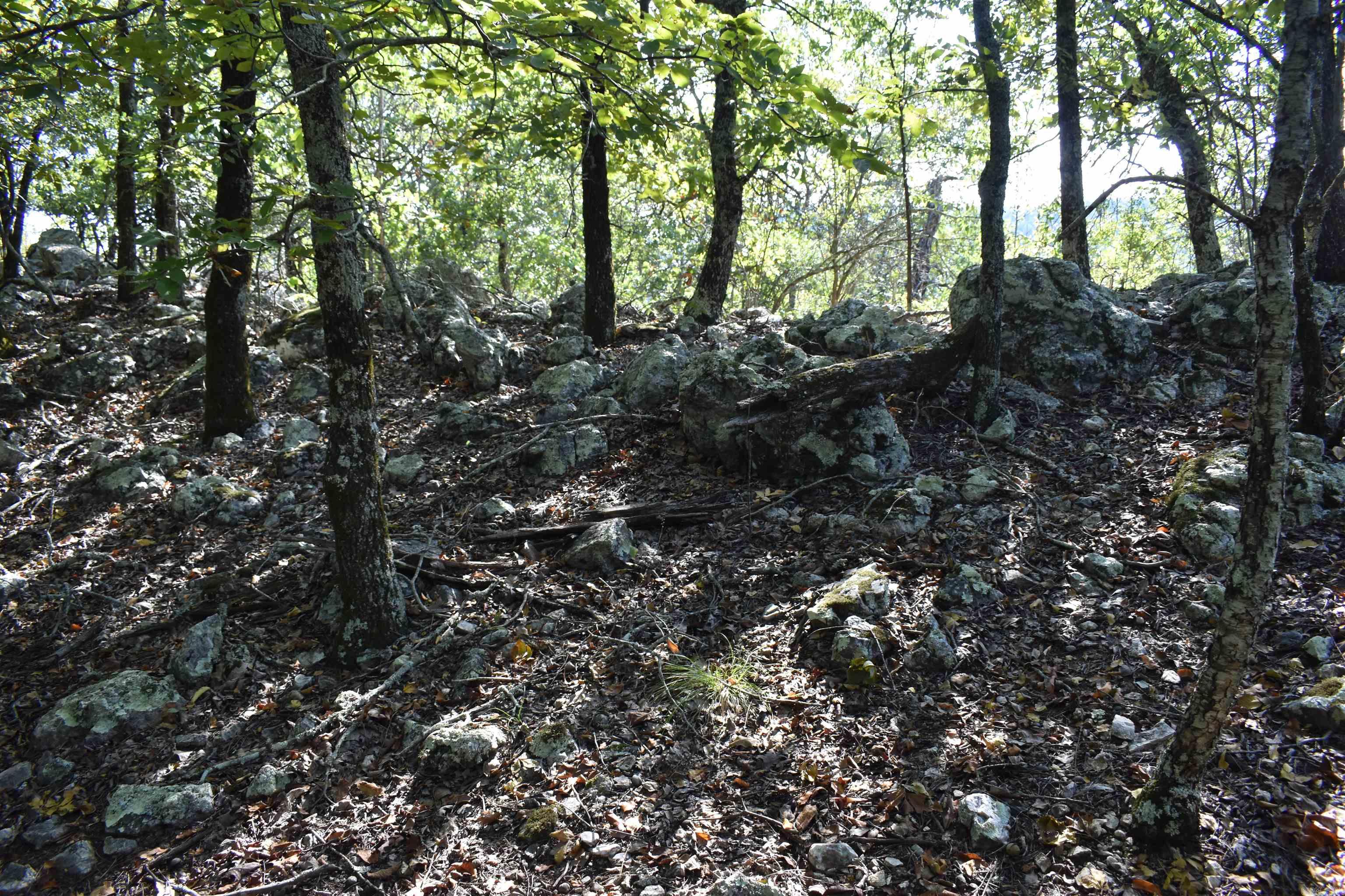 374 Leisure Terrace  Hot Springs, AR