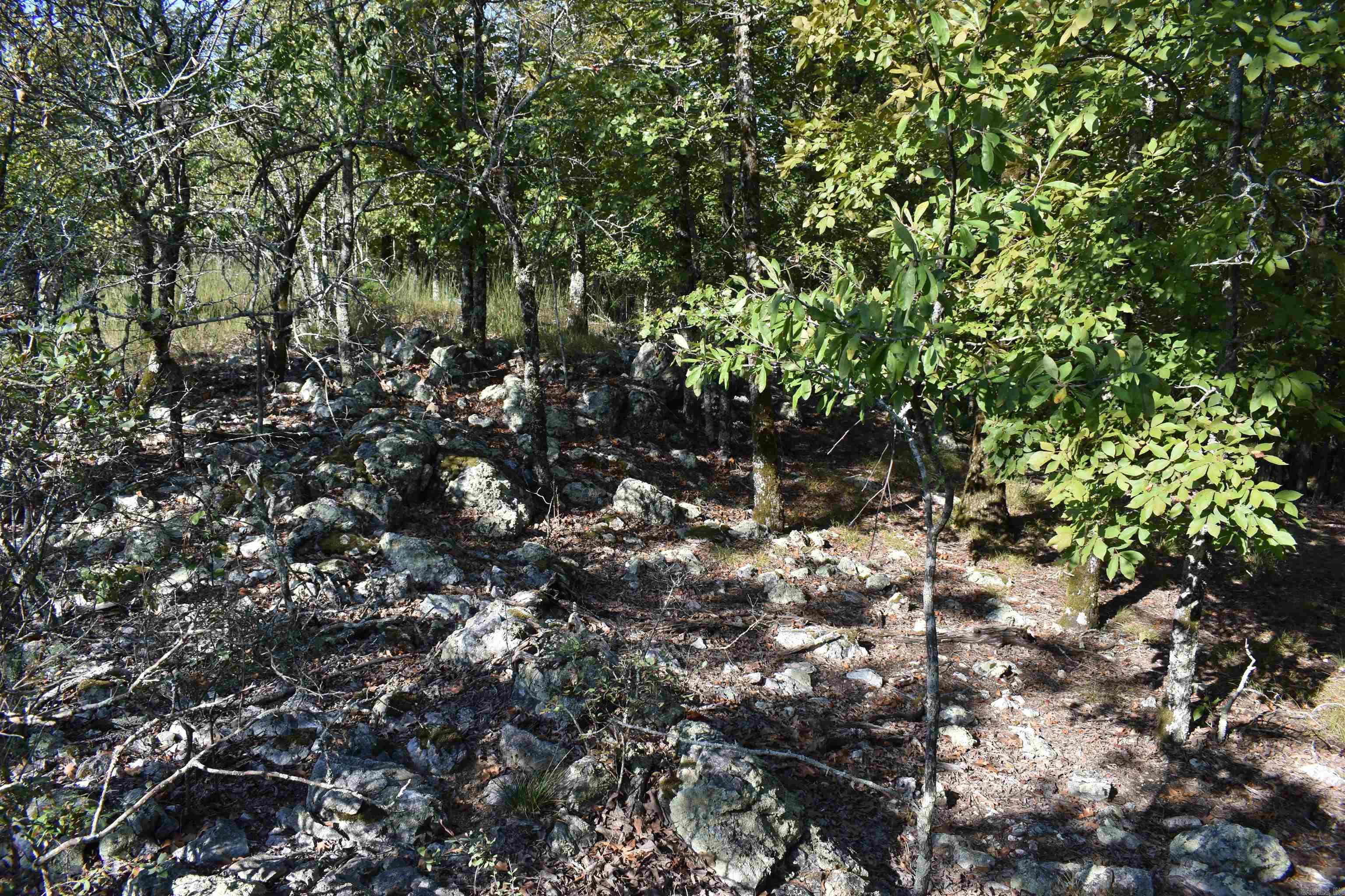 374 Leisure Terrace  Hot Springs, AR