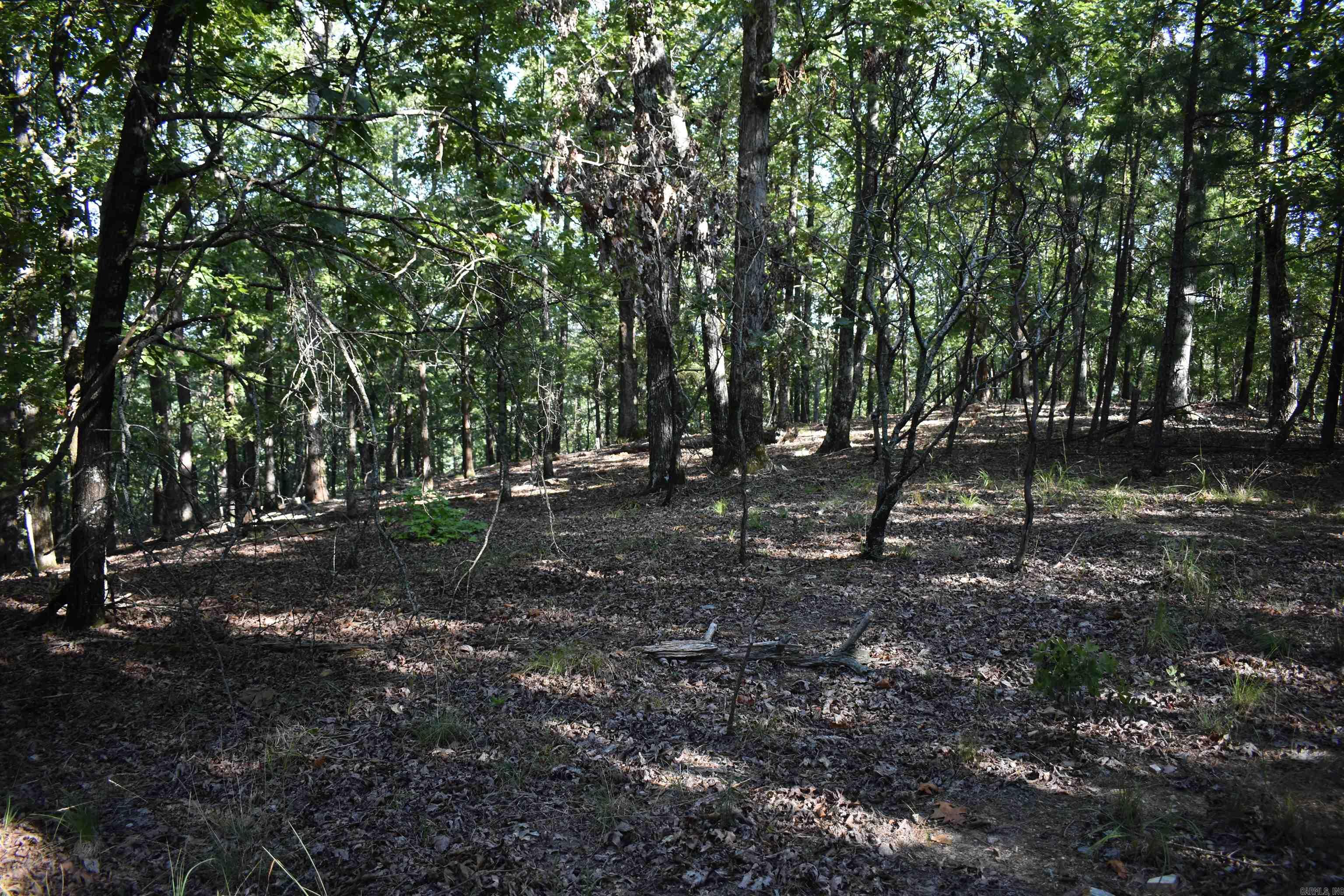 374 Leisure Terrace  Hot Springs, AR