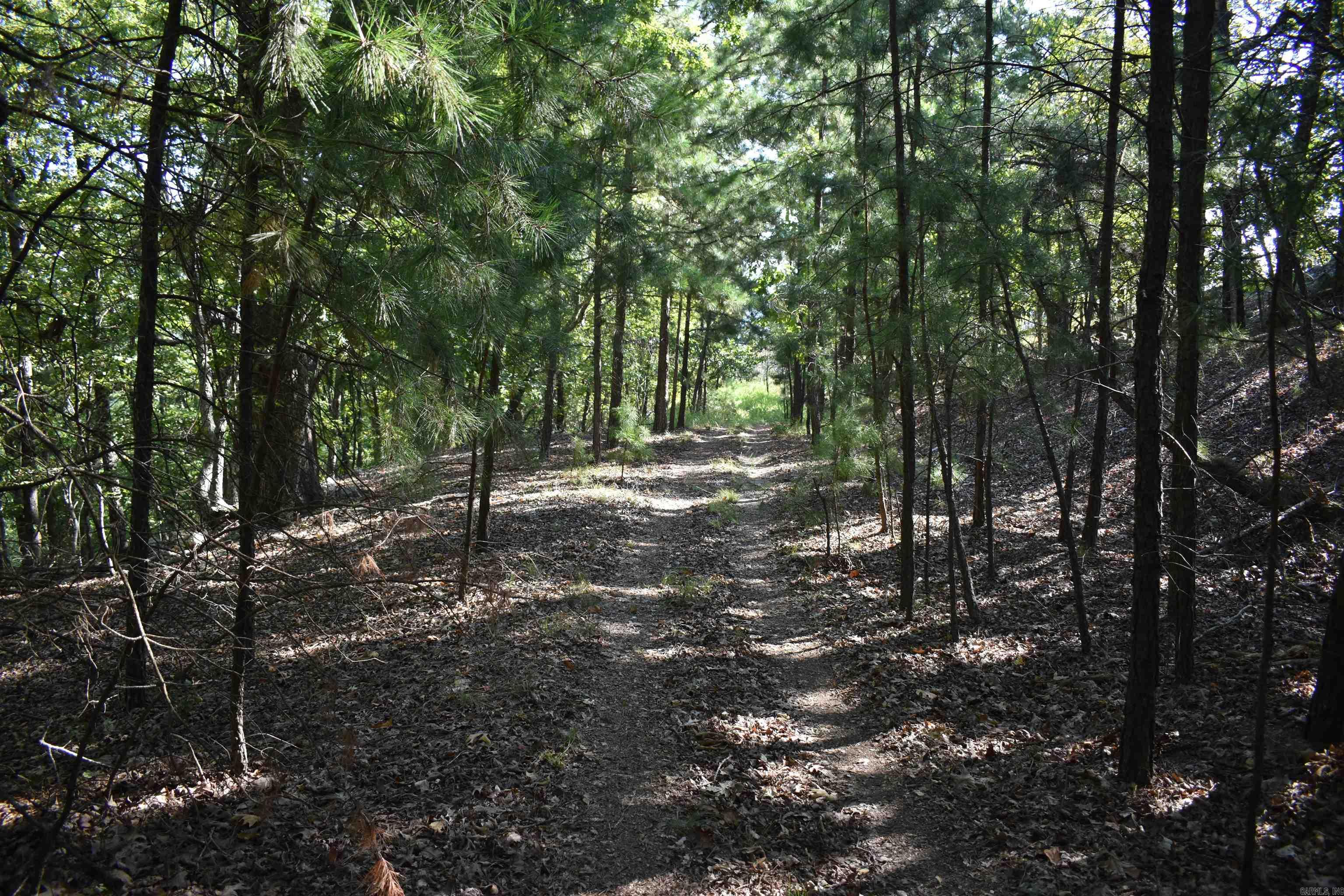 374 Leisure Terrace  Hot Springs, AR