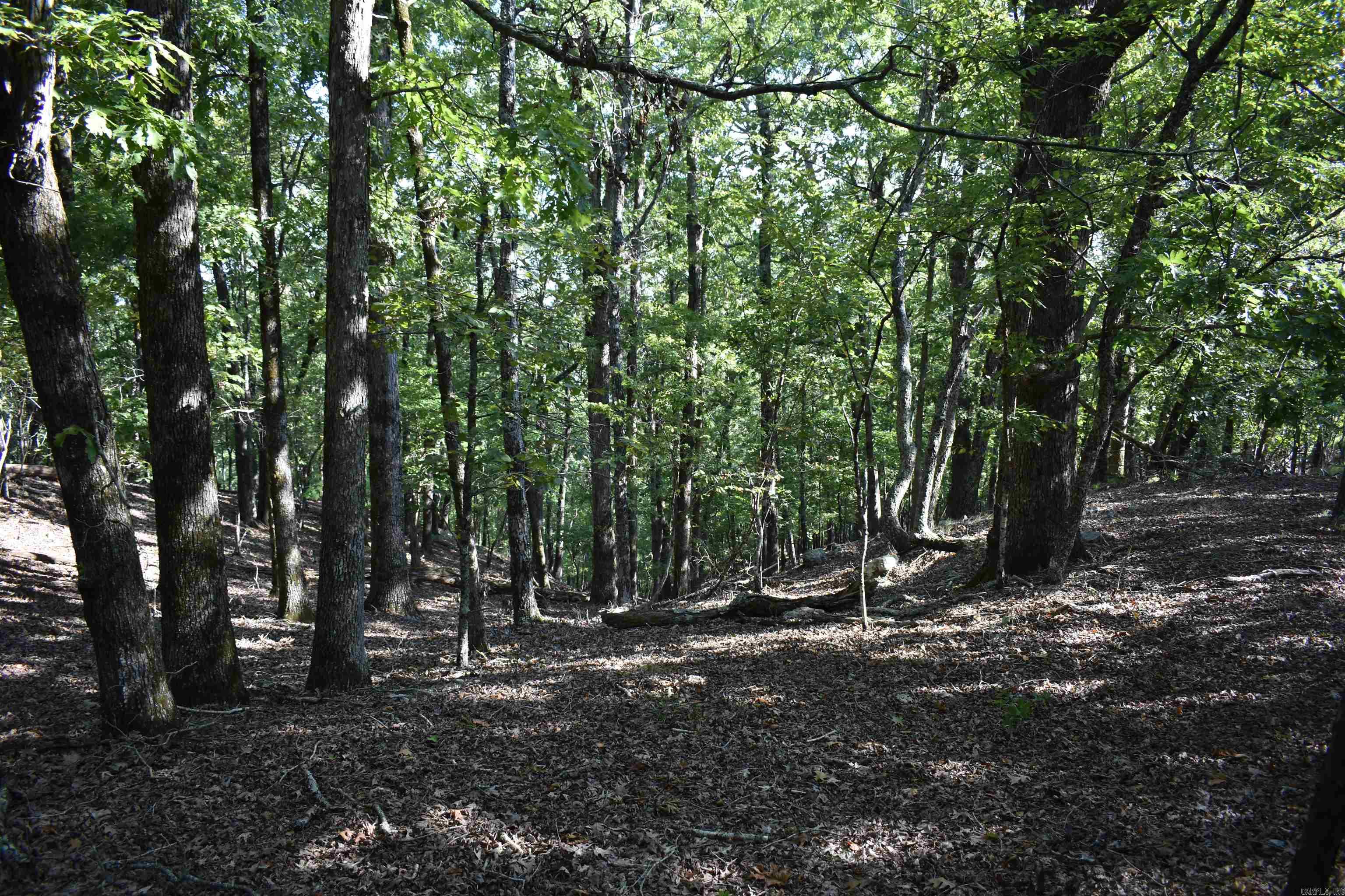 374 Leisure Terrace  Hot Springs, AR
