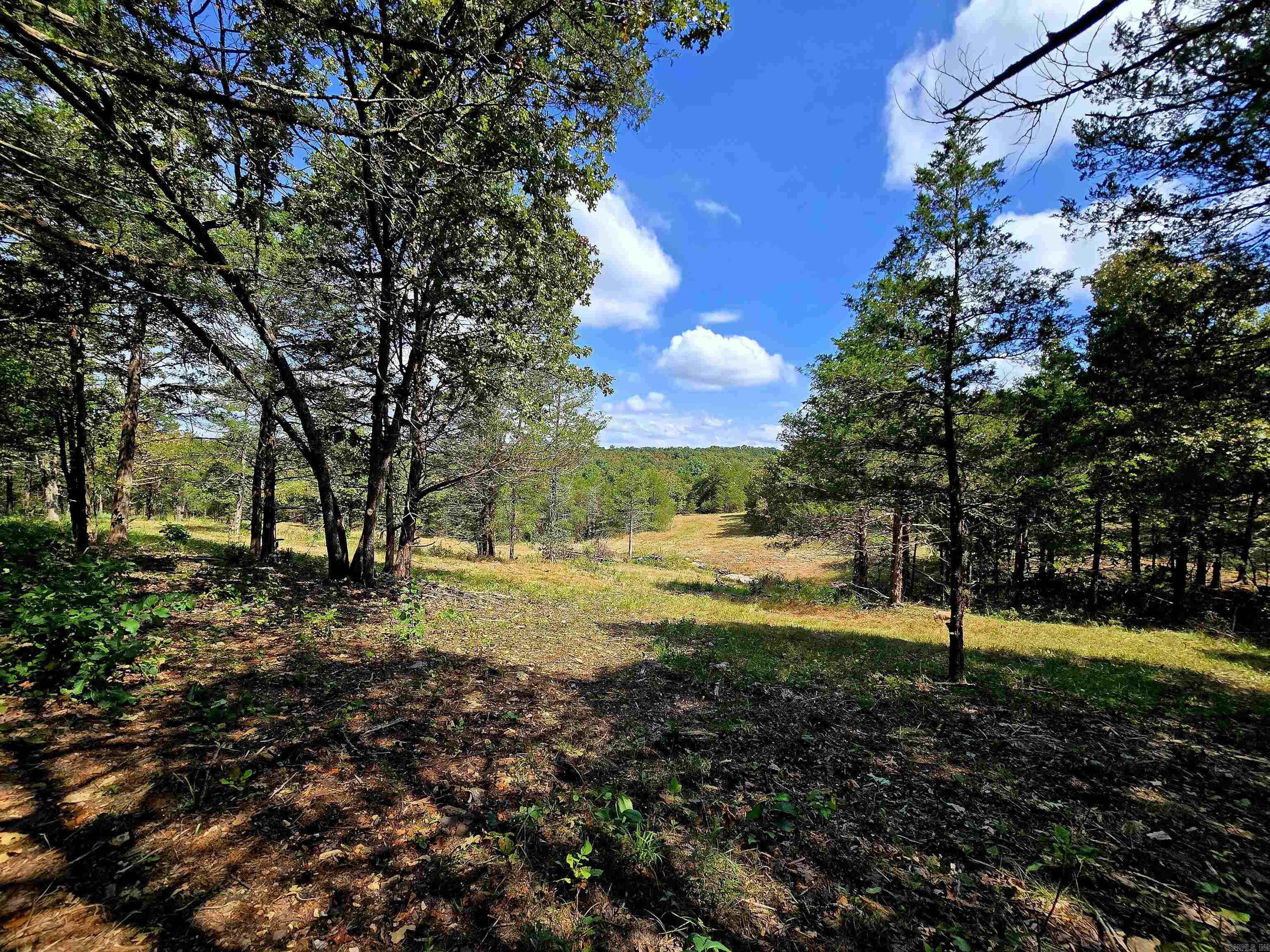 90 Brahma  Mountain Home, AR