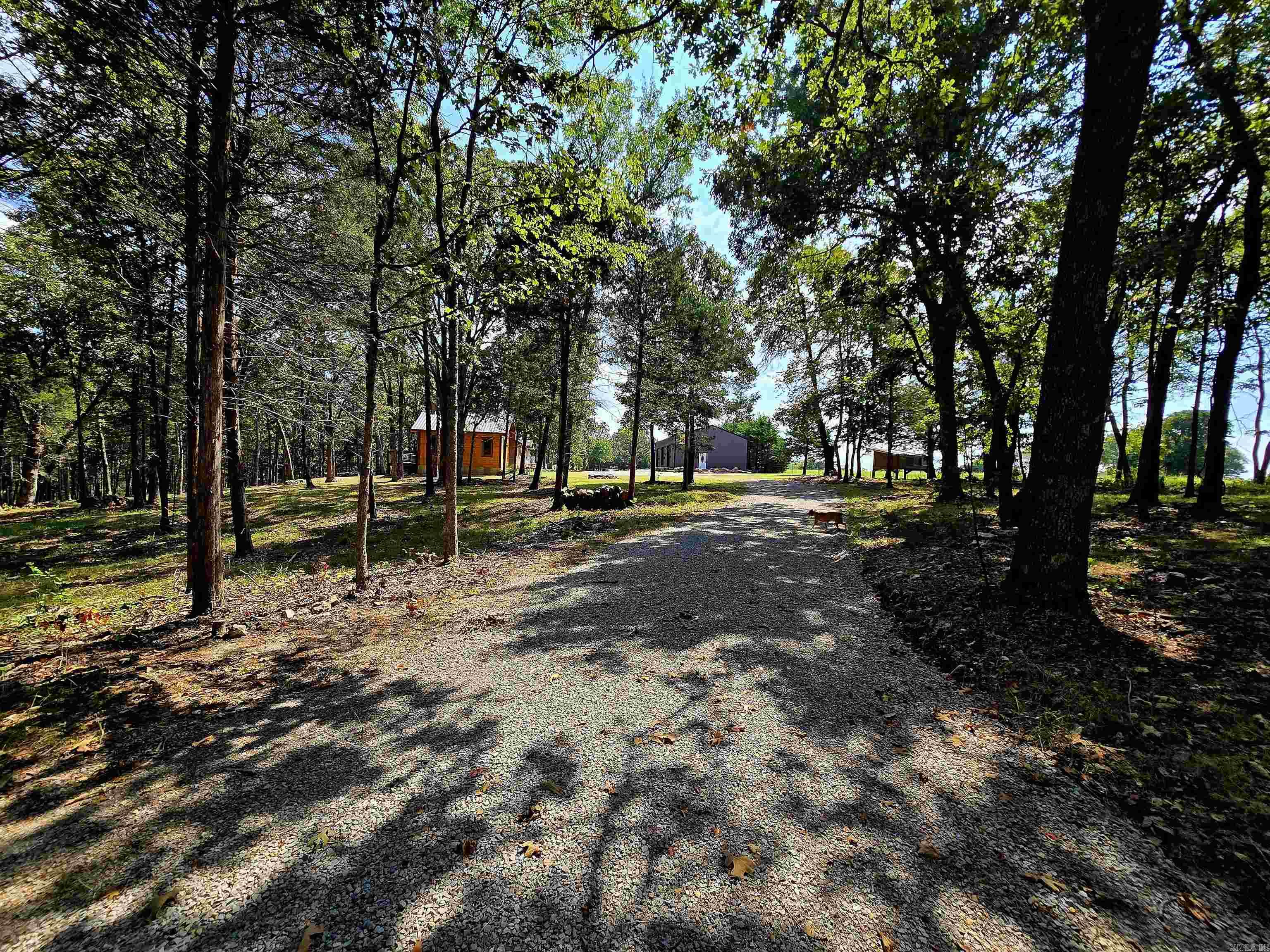 90 Brahma  Mountain Home, AR