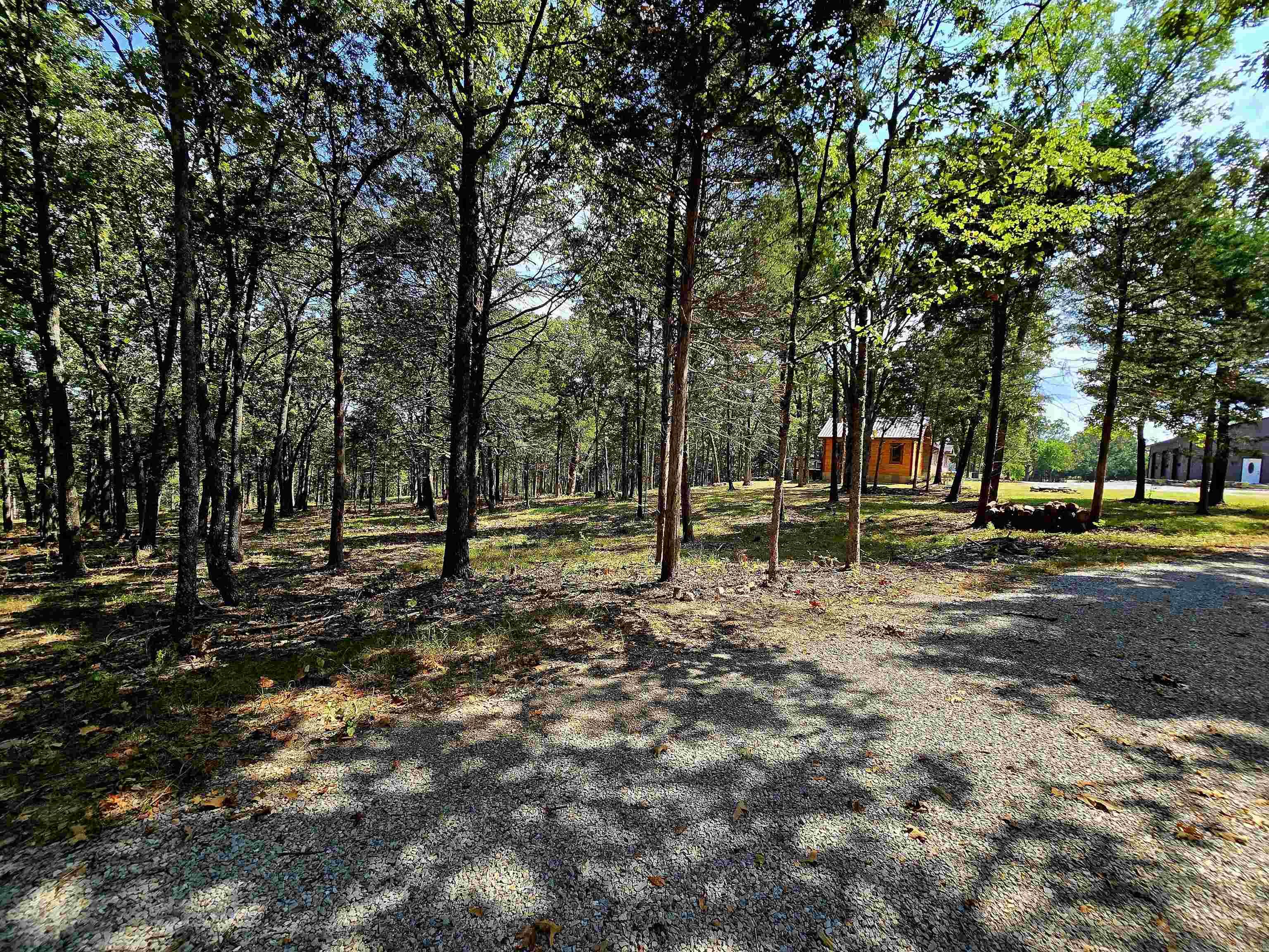90 Brahma  Mountain Home, AR
