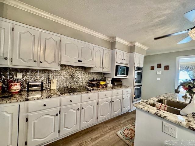 2903 Purcell Road  Paragould, AR
