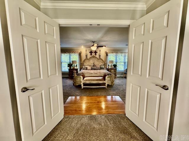 2903 Purcell Road  Paragould, AR