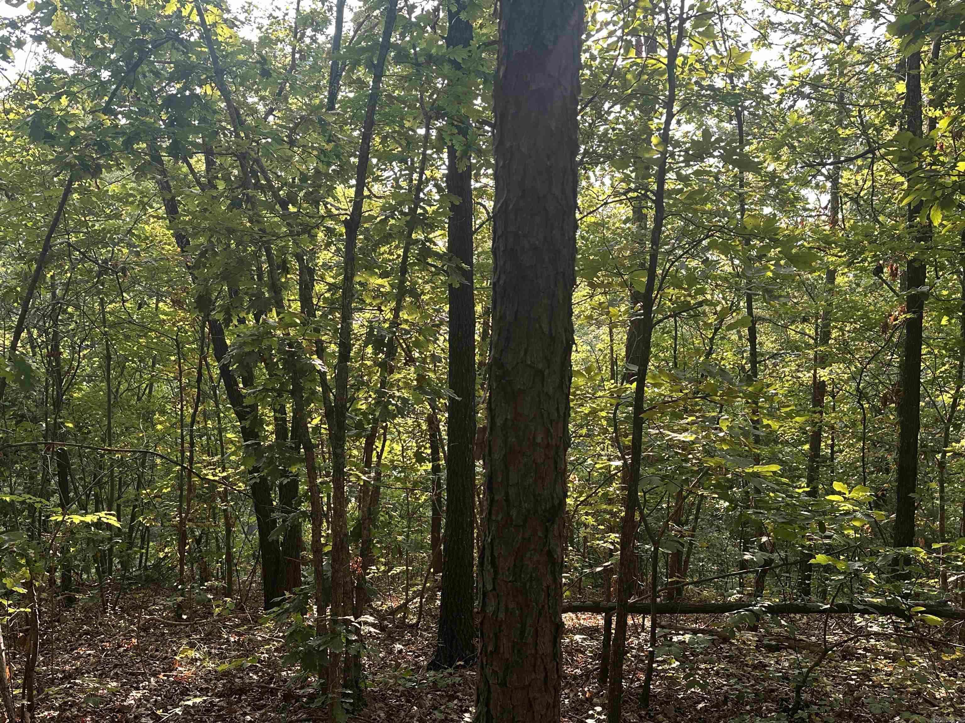000 Hwy 110  Clinton, AR