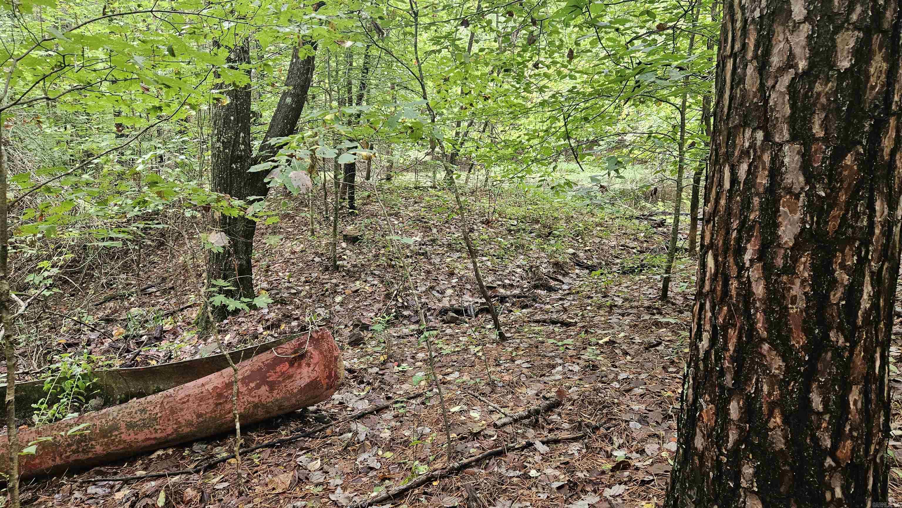 TBD NC 9025  Deer, AR