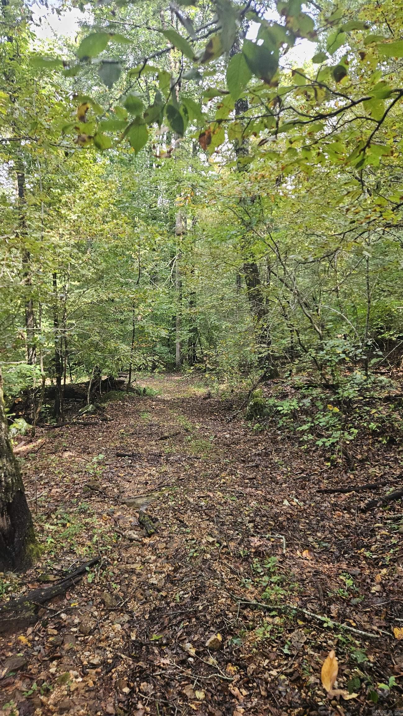 TBD NC 9025  Deer, AR