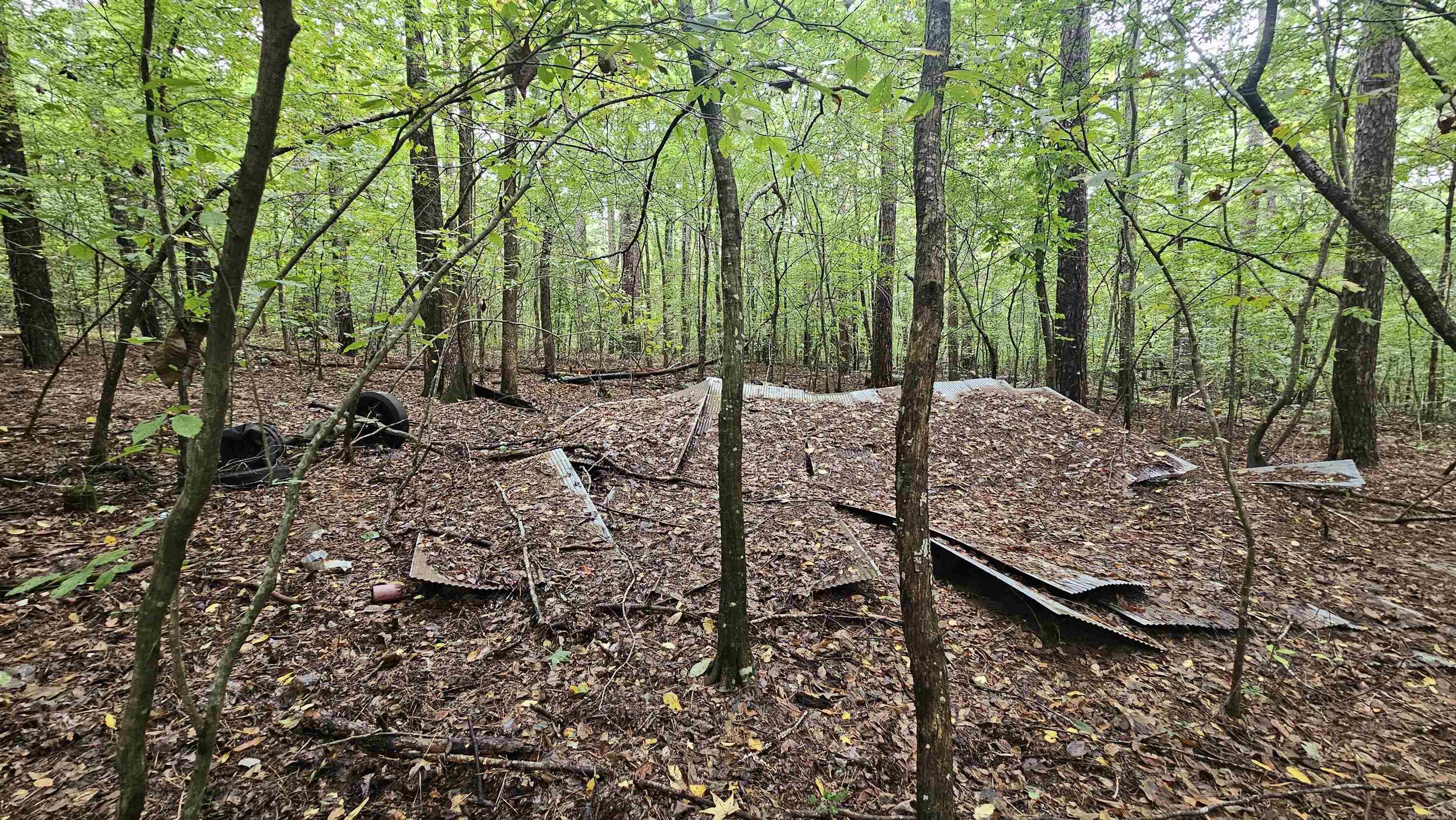 TBD NC 9025  Deer, AR