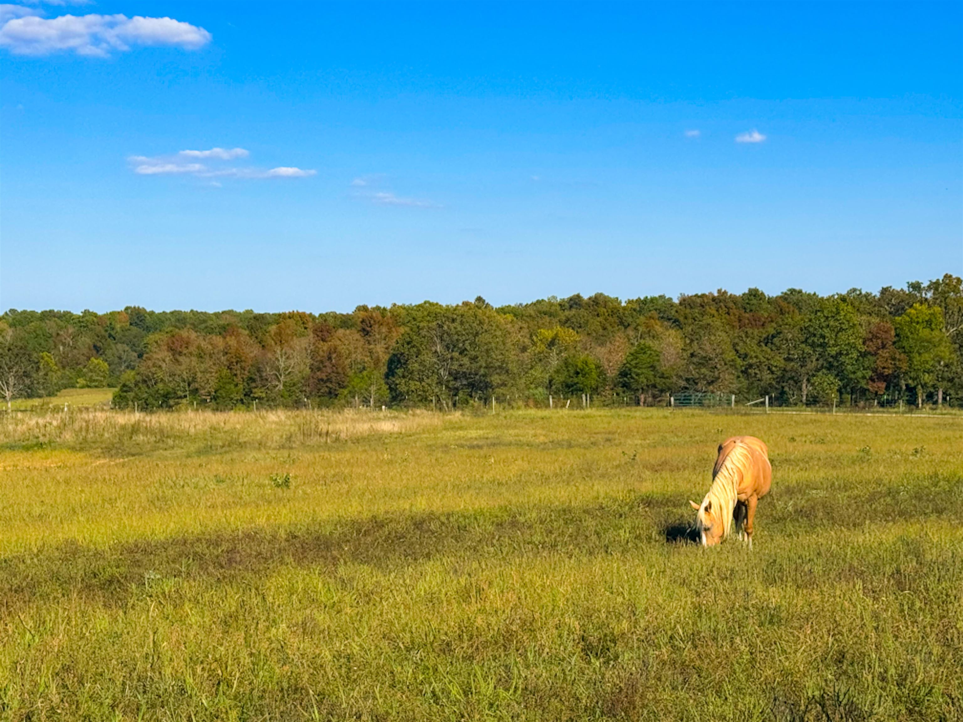 188 Red Hawk  Glencoe, AR