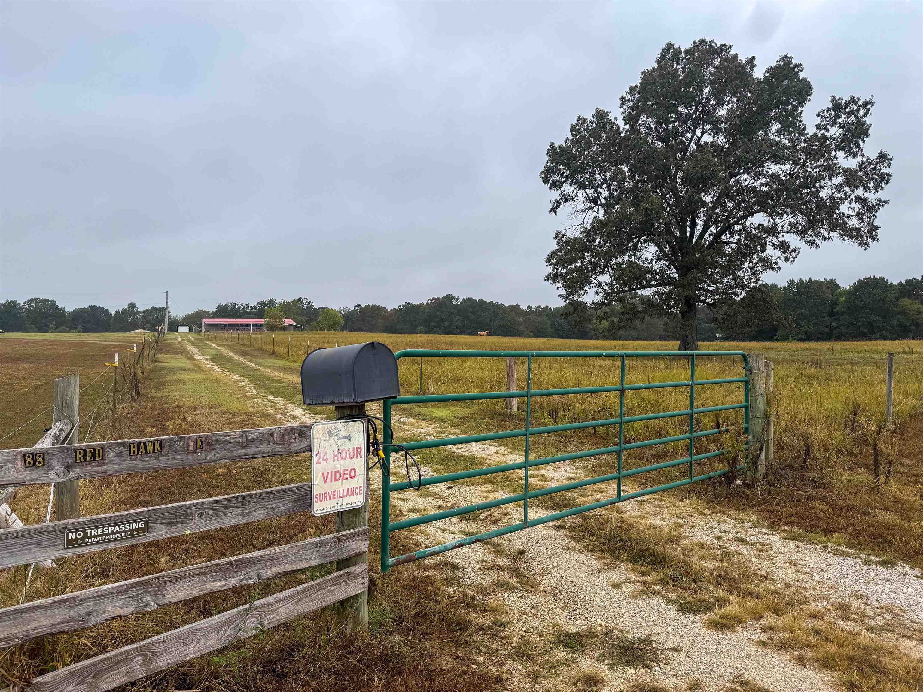 188 Red Hawk  Glencoe, AR
