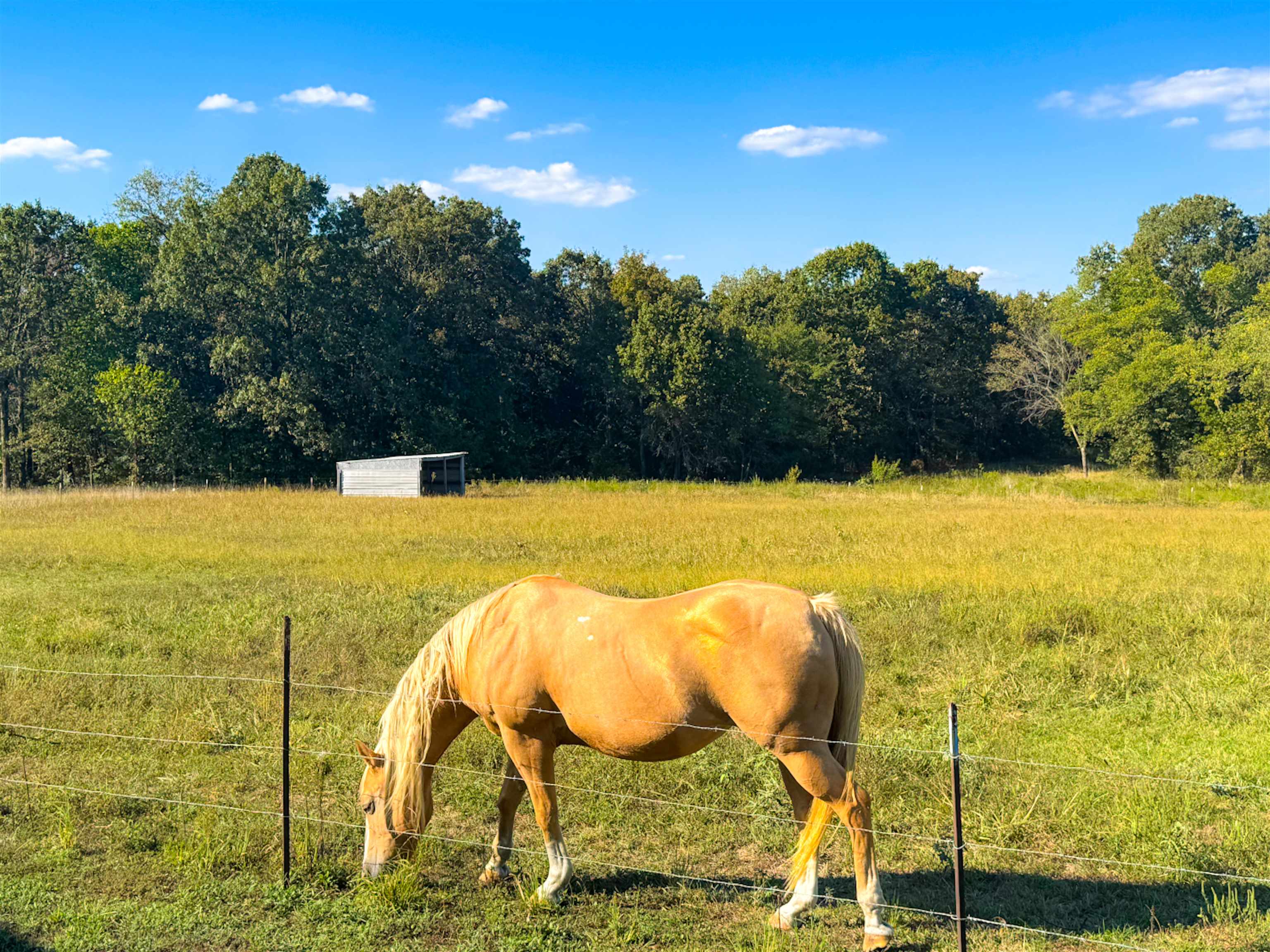 188 Red Hawk  Glencoe, AR