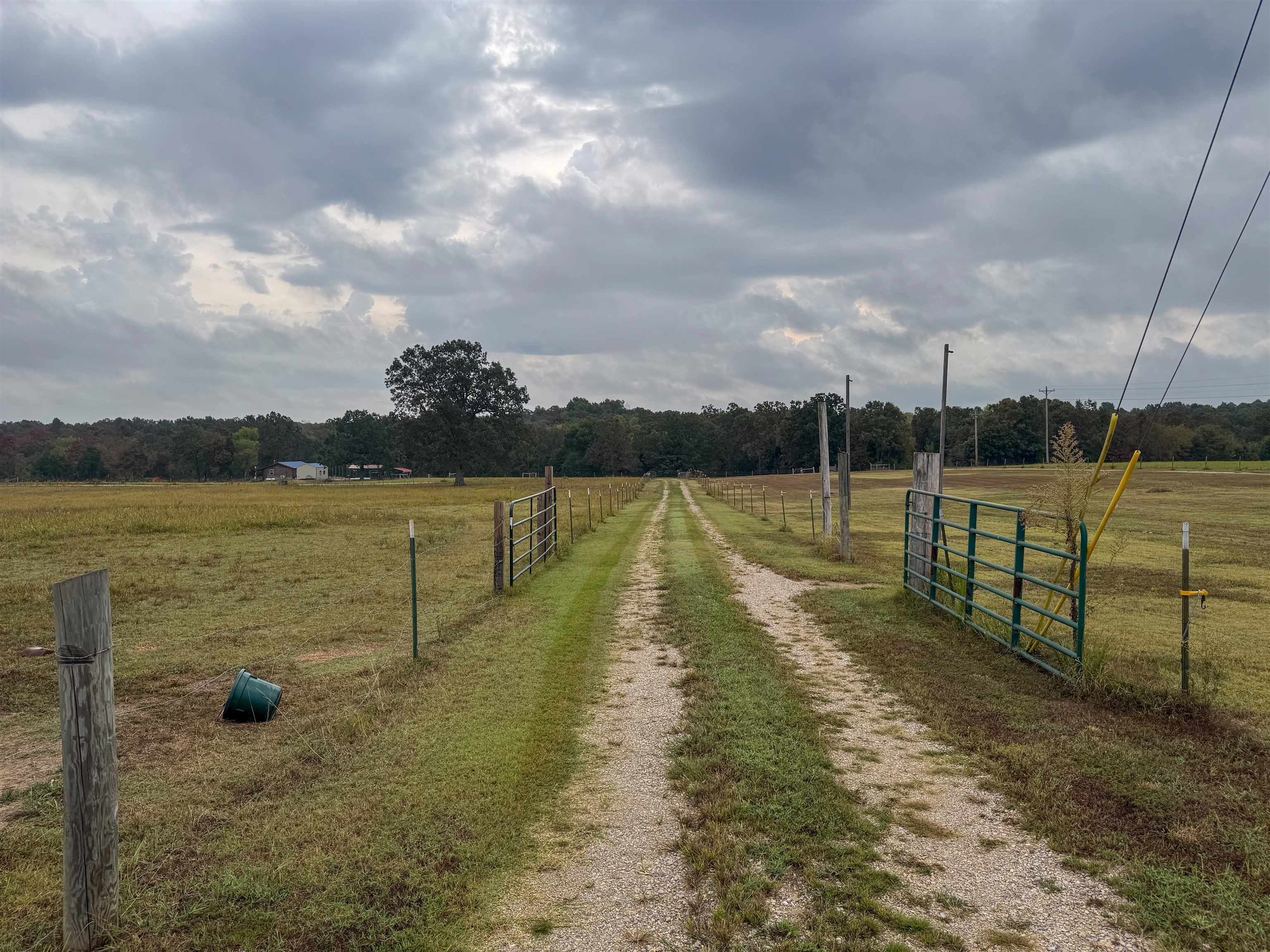 188 Red Hawk  Glencoe, AR