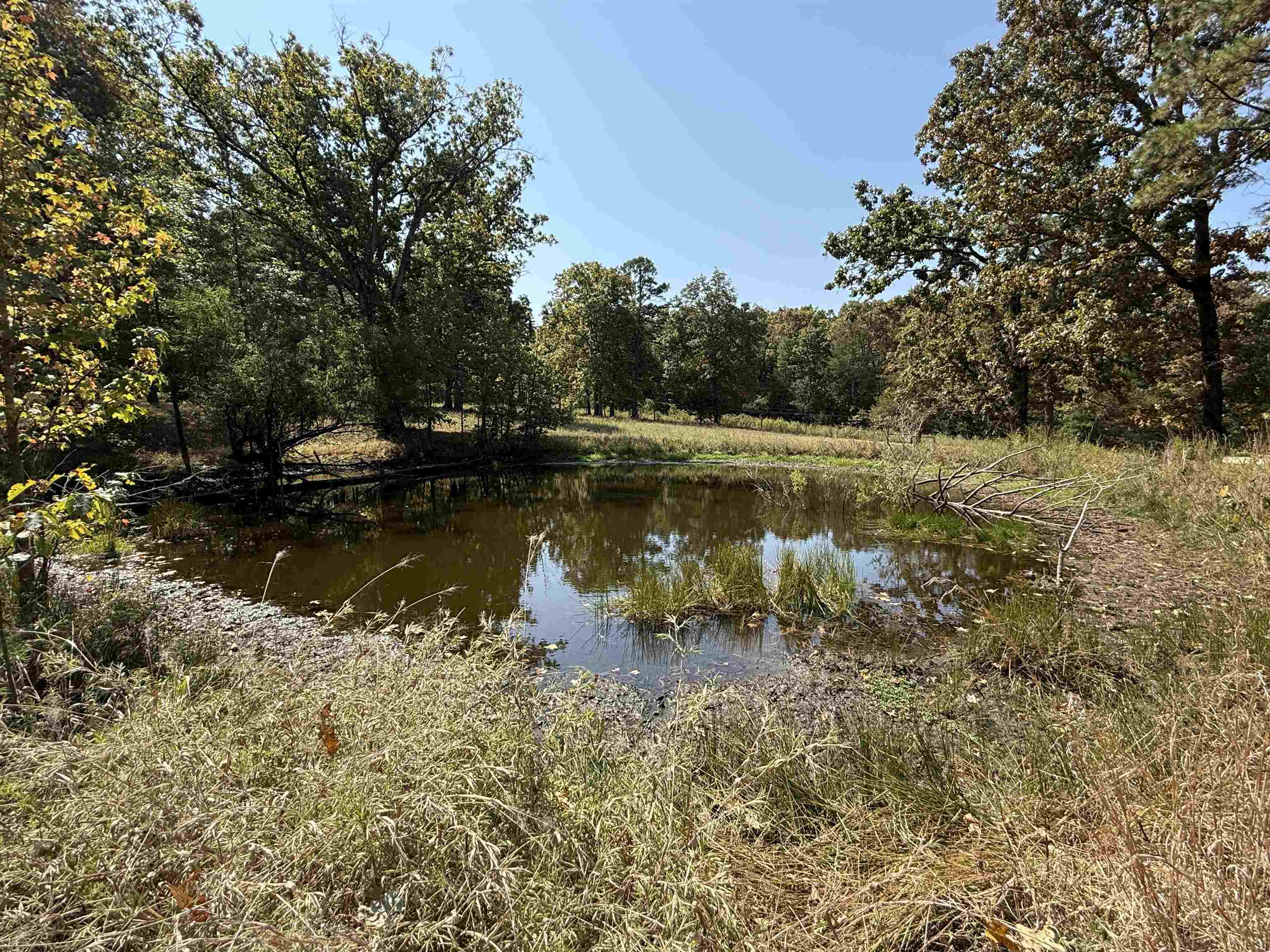 145 Mabry Lane  Melbourne, AR