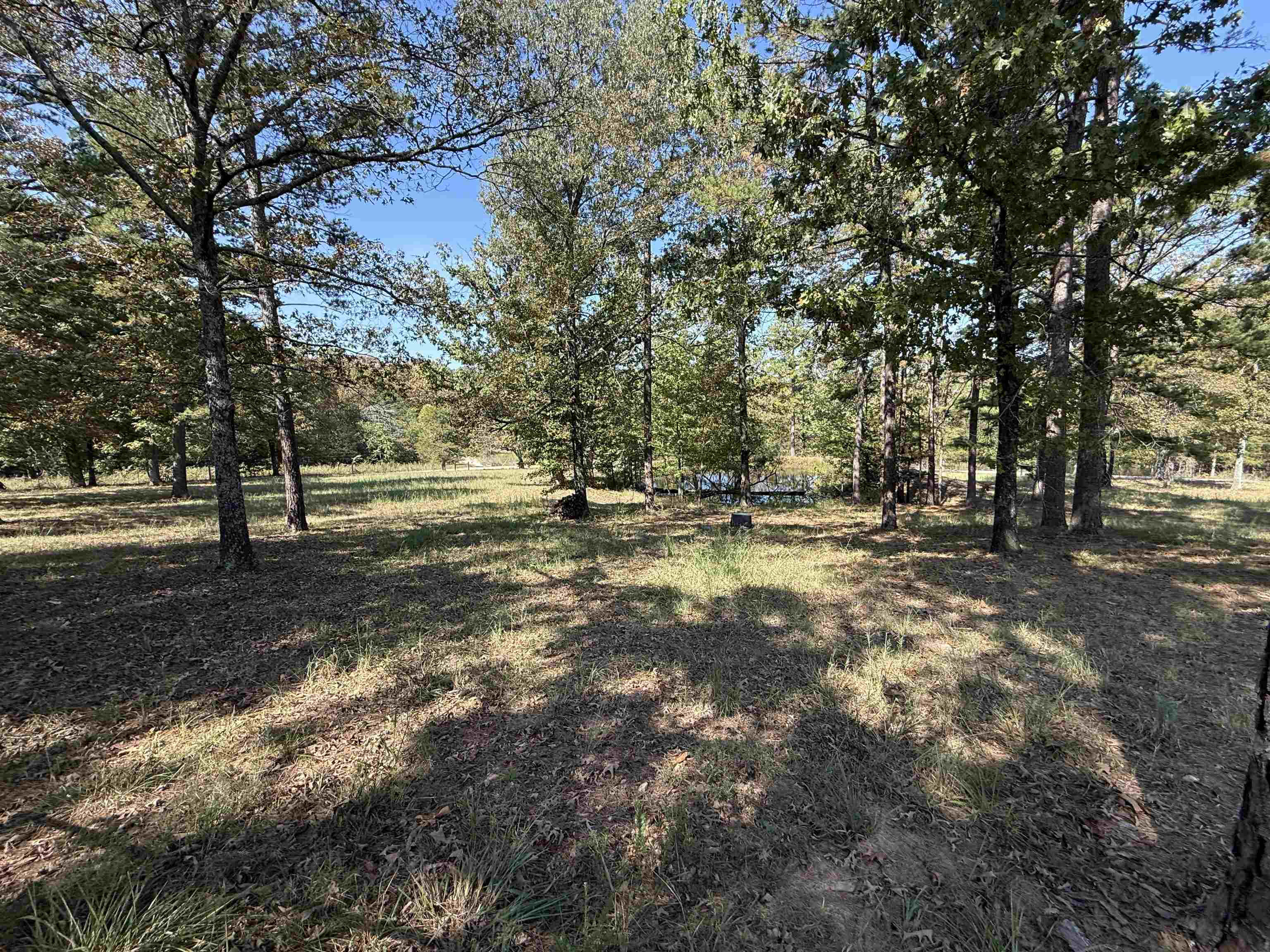 145 Mabry Lane  Melbourne, AR
