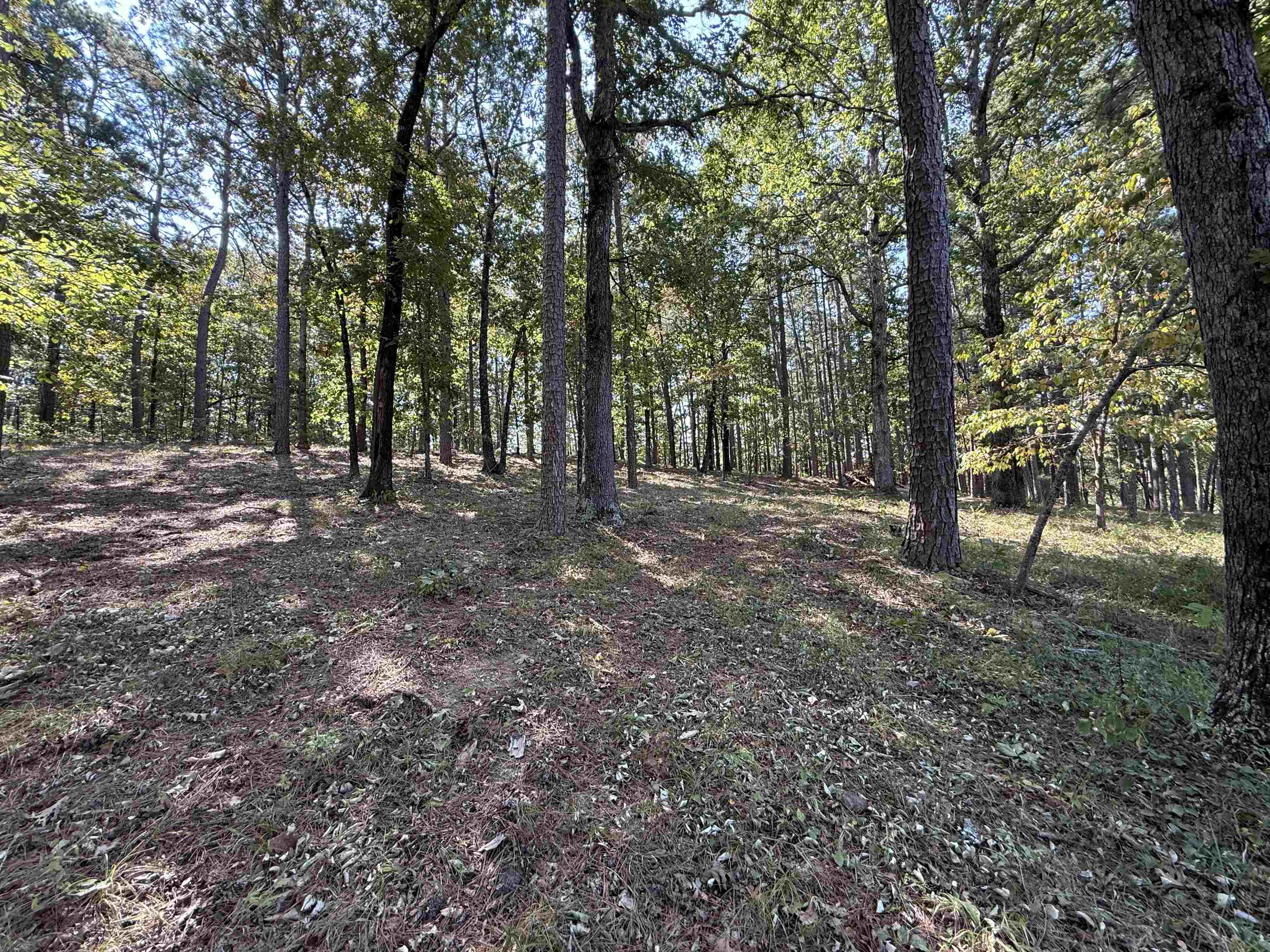 145 Mabry Lane  Melbourne, AR