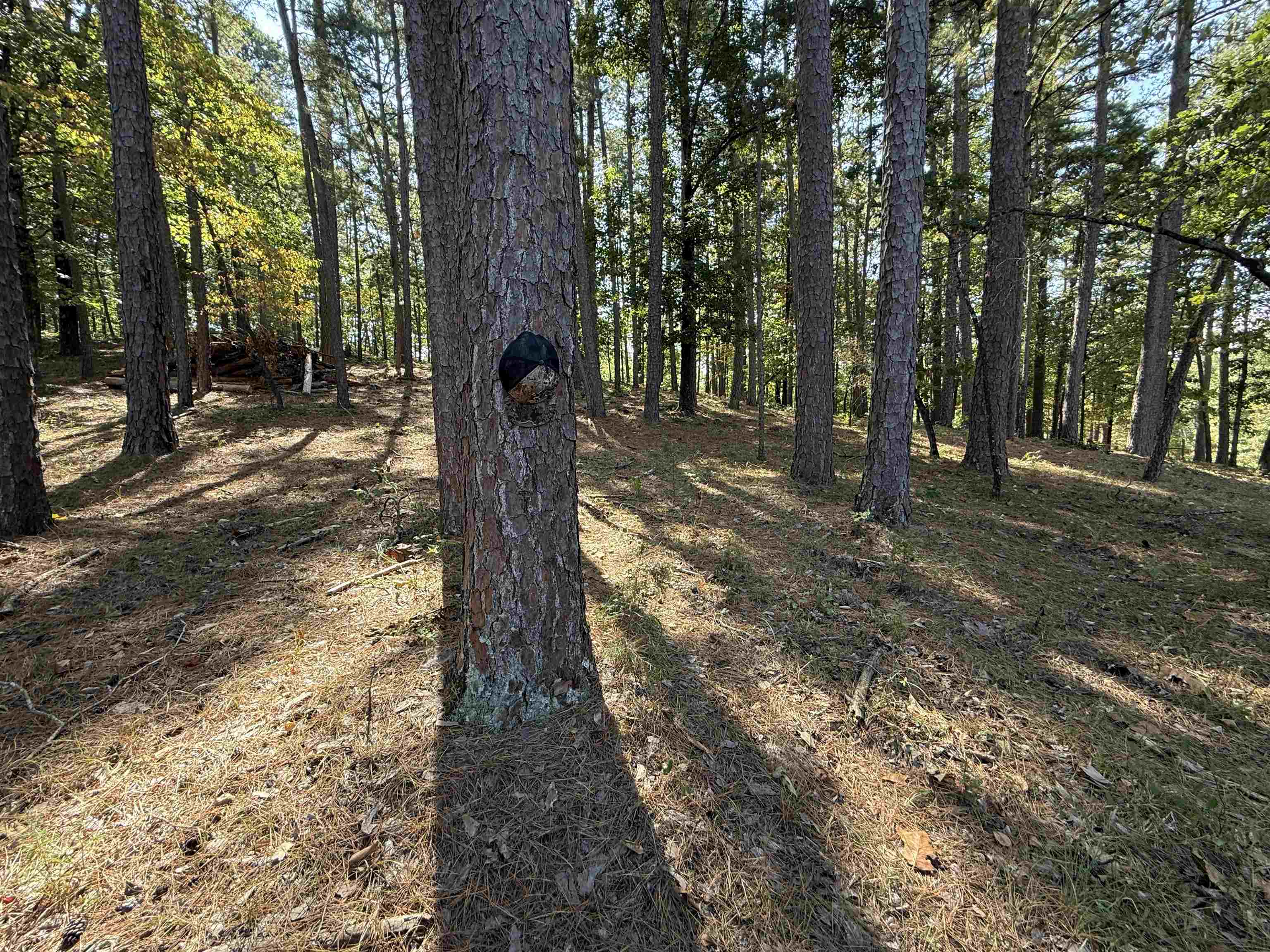 145 Mabry Lane  Melbourne, AR