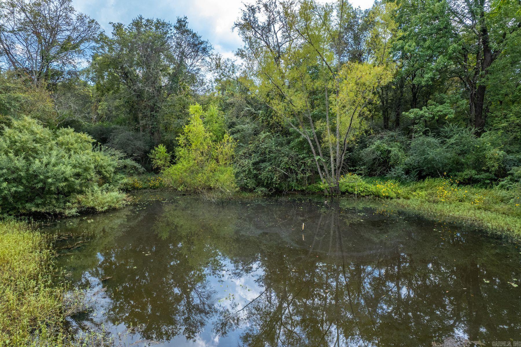 469 Treasure Isle Road  Hot Springs, AR