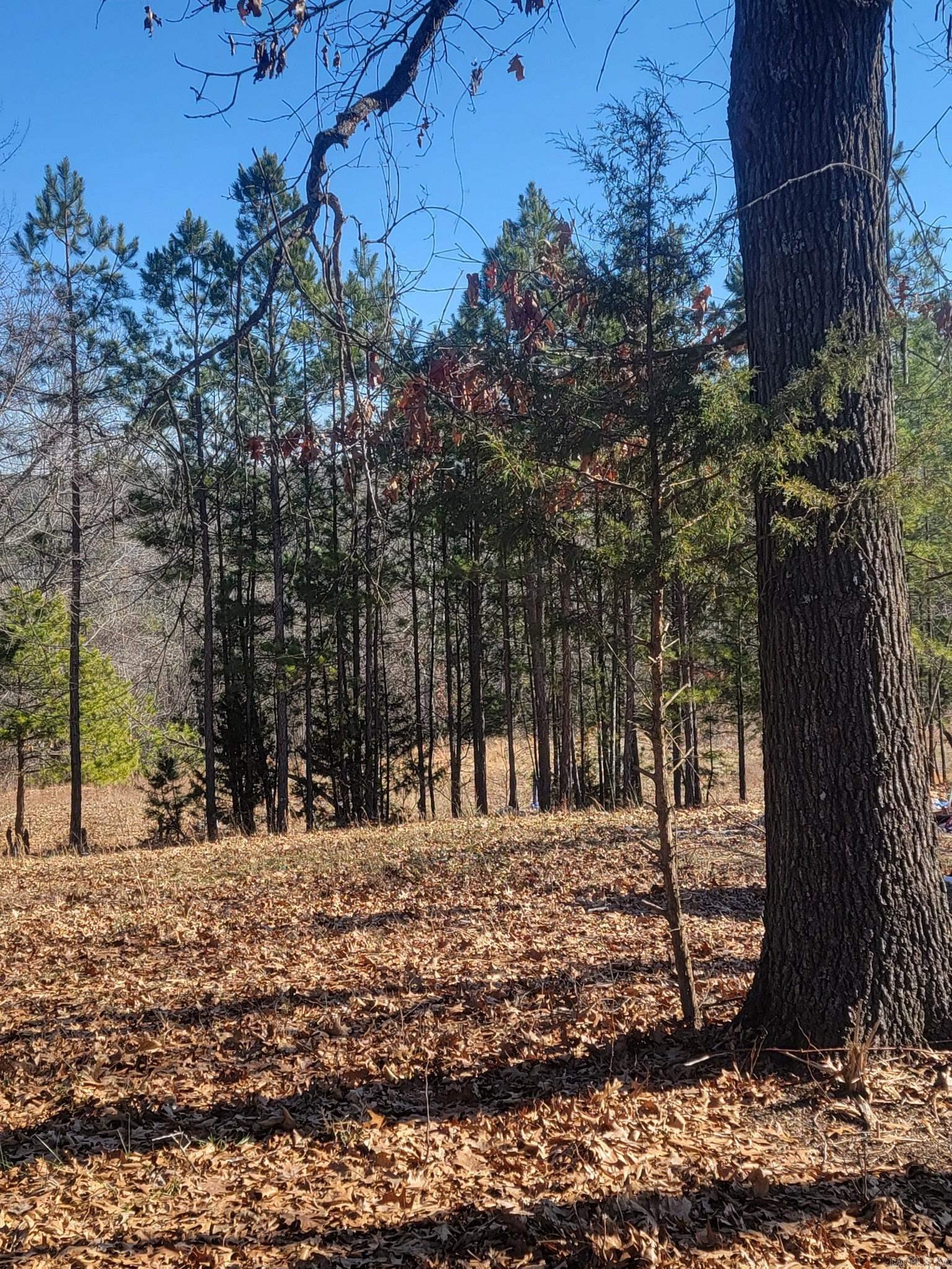 3639 Moark  Harrison, AR