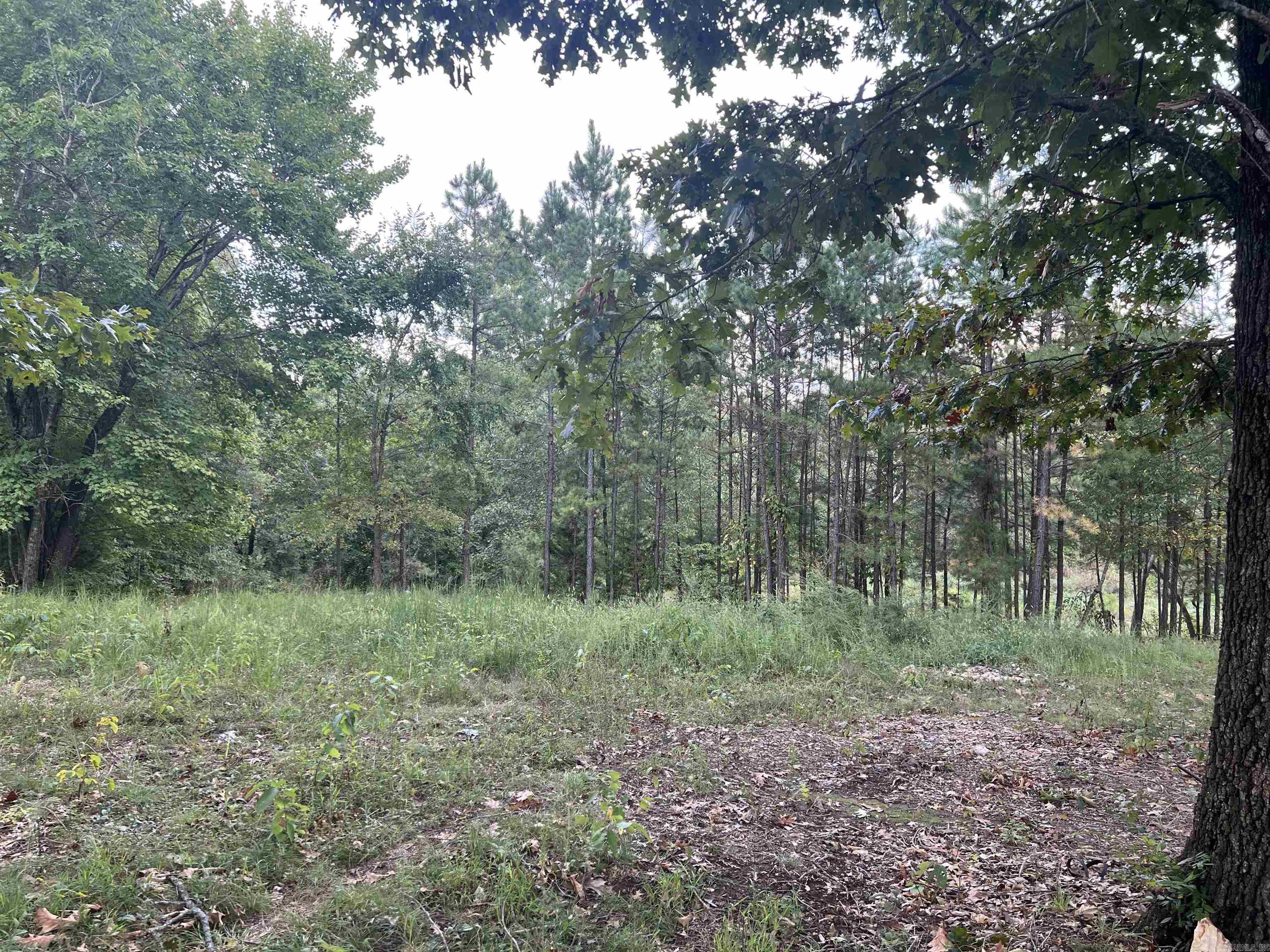 3639 Moark  Harrison, AR