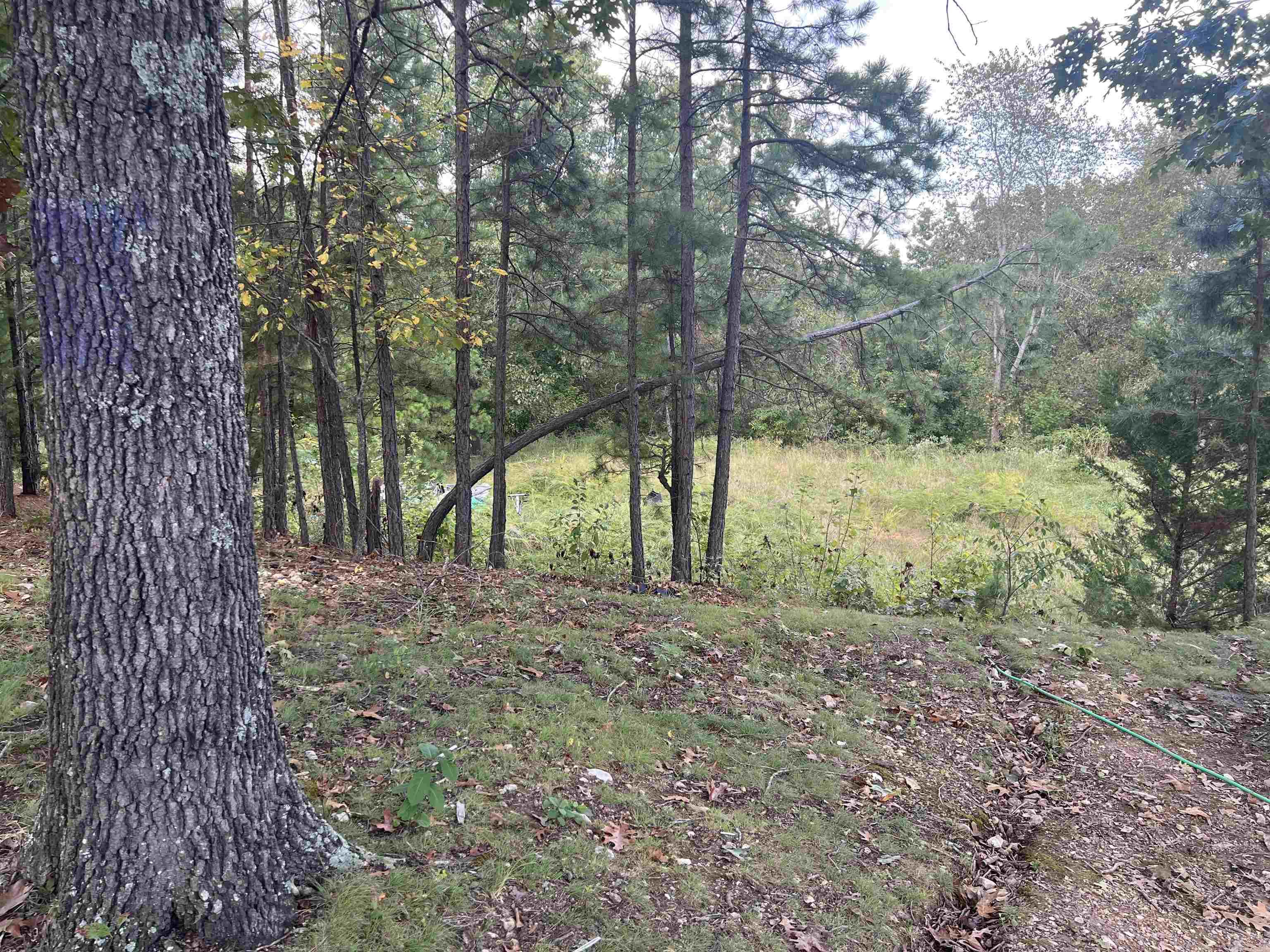3639 Moark  Harrison, AR