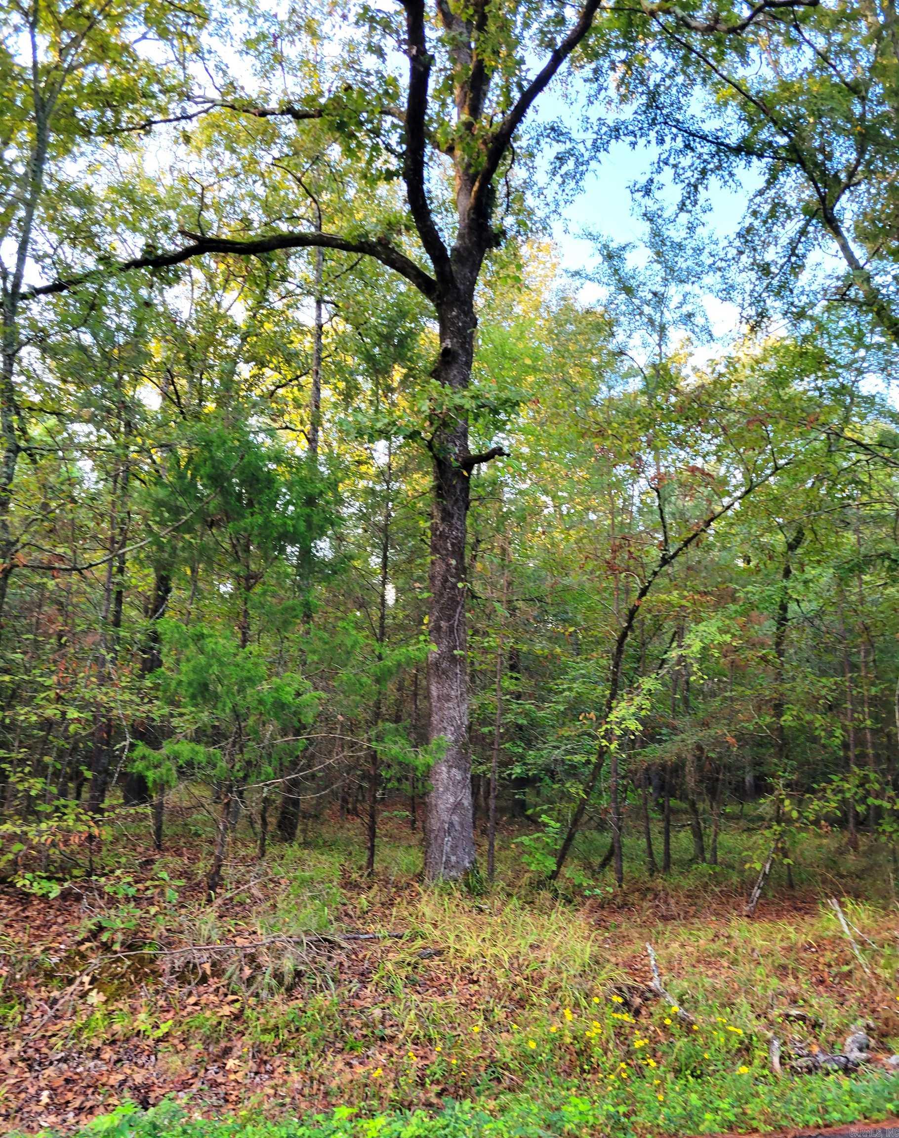  KRUSE  Alexander, AR