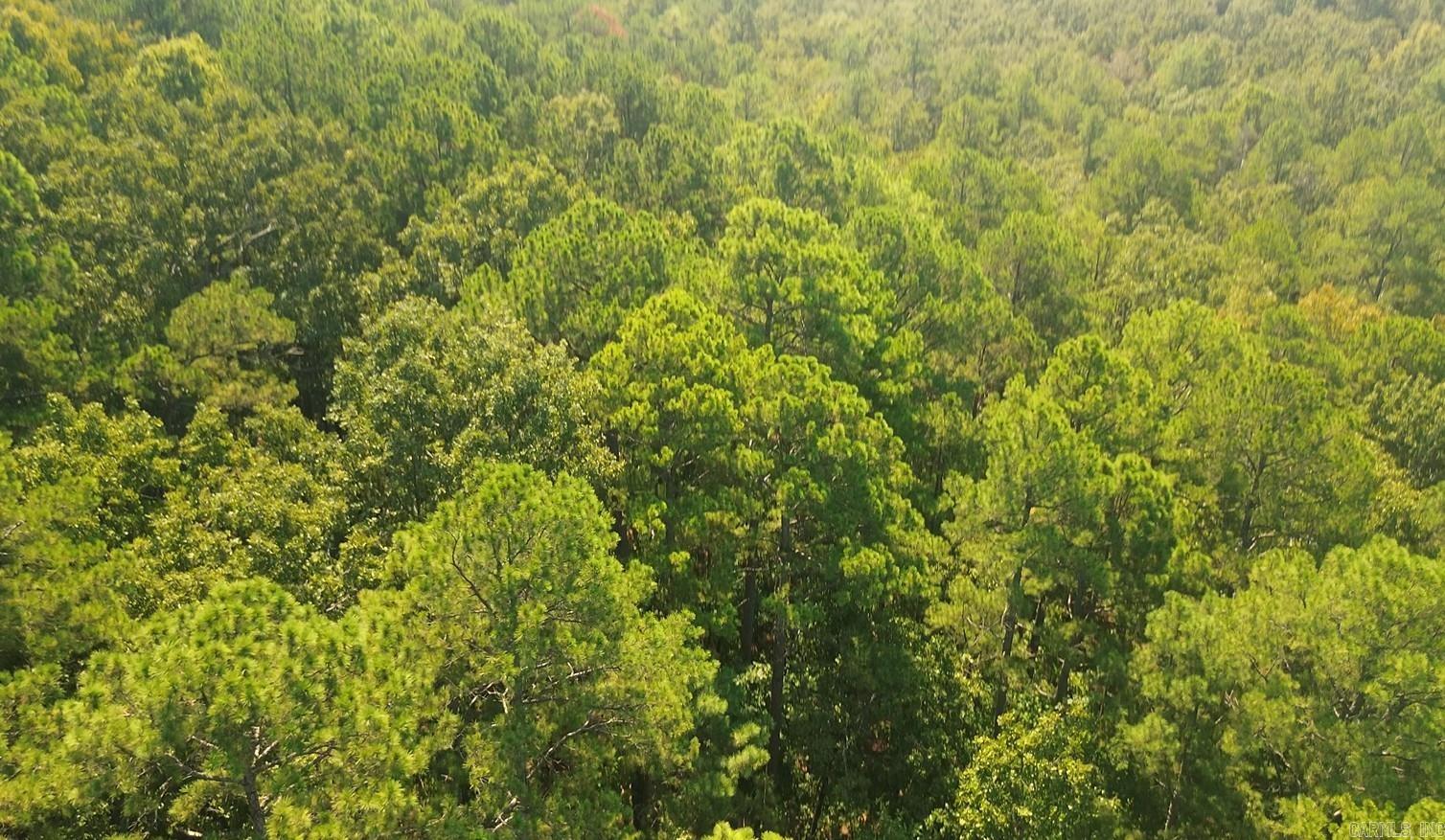 169 Brook Ln  Bee Branch, AR
