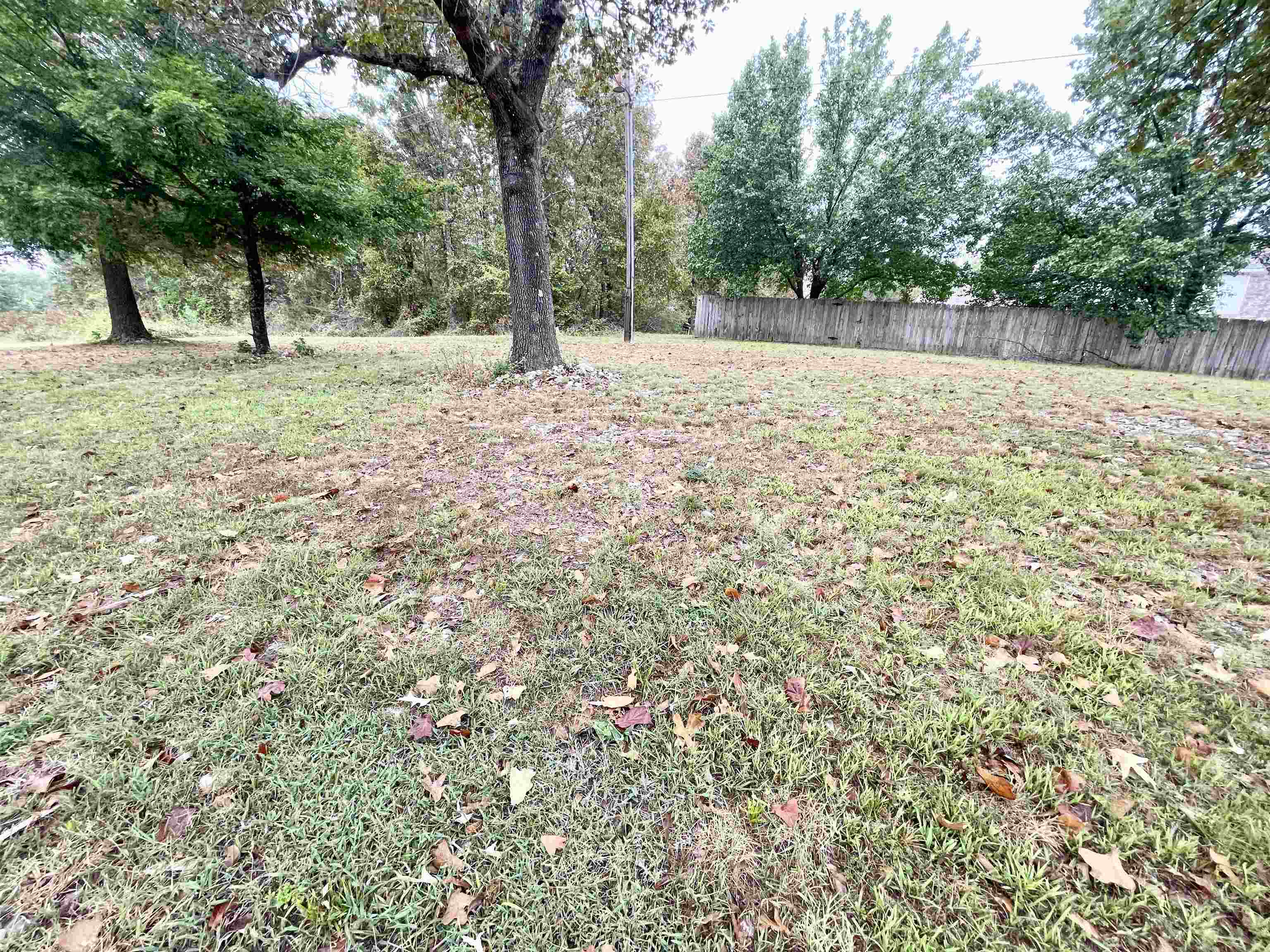 404 S Main  Salem, AR