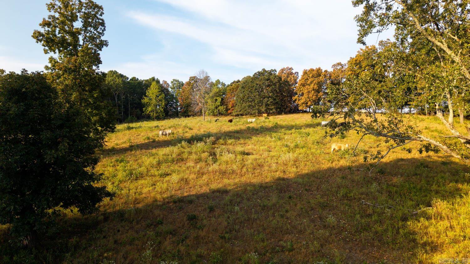 000 Bamber Road  Mammoth Spring, AR