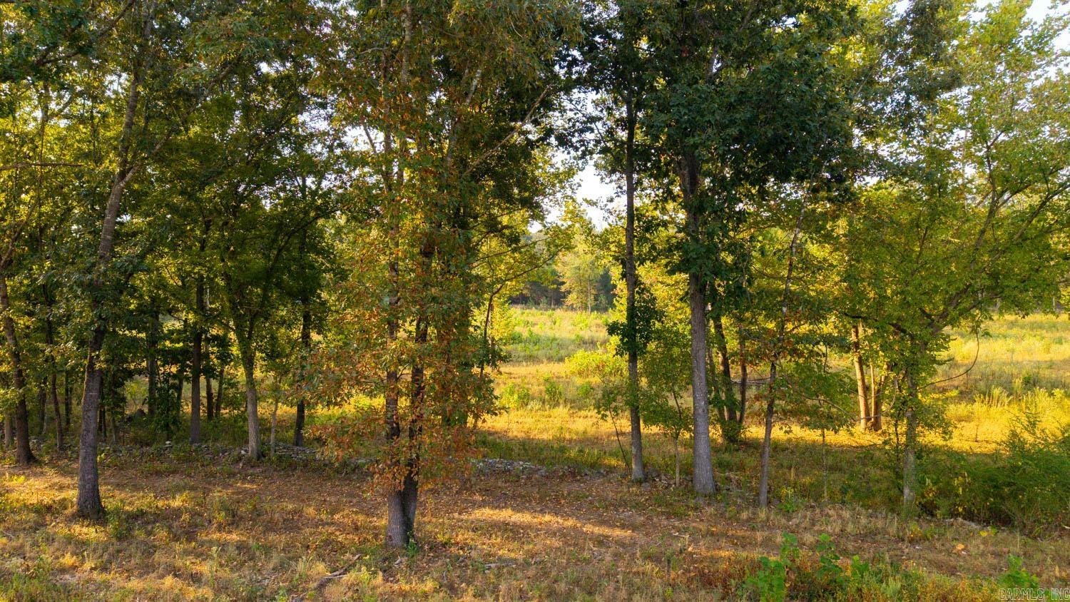 000 Bamber Road  Mammoth Spring, AR