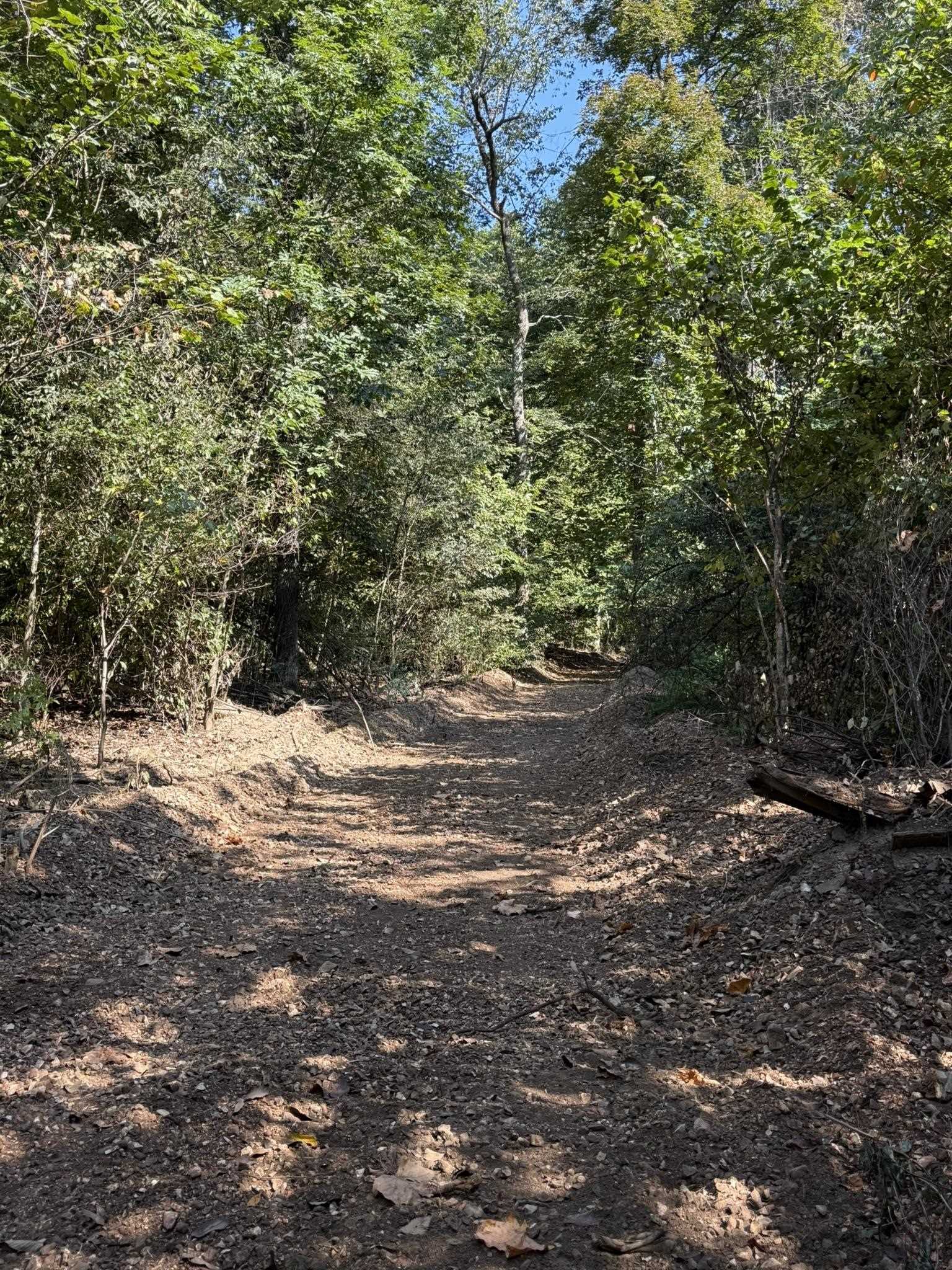 86A Williamson Trail  Guion, AR
