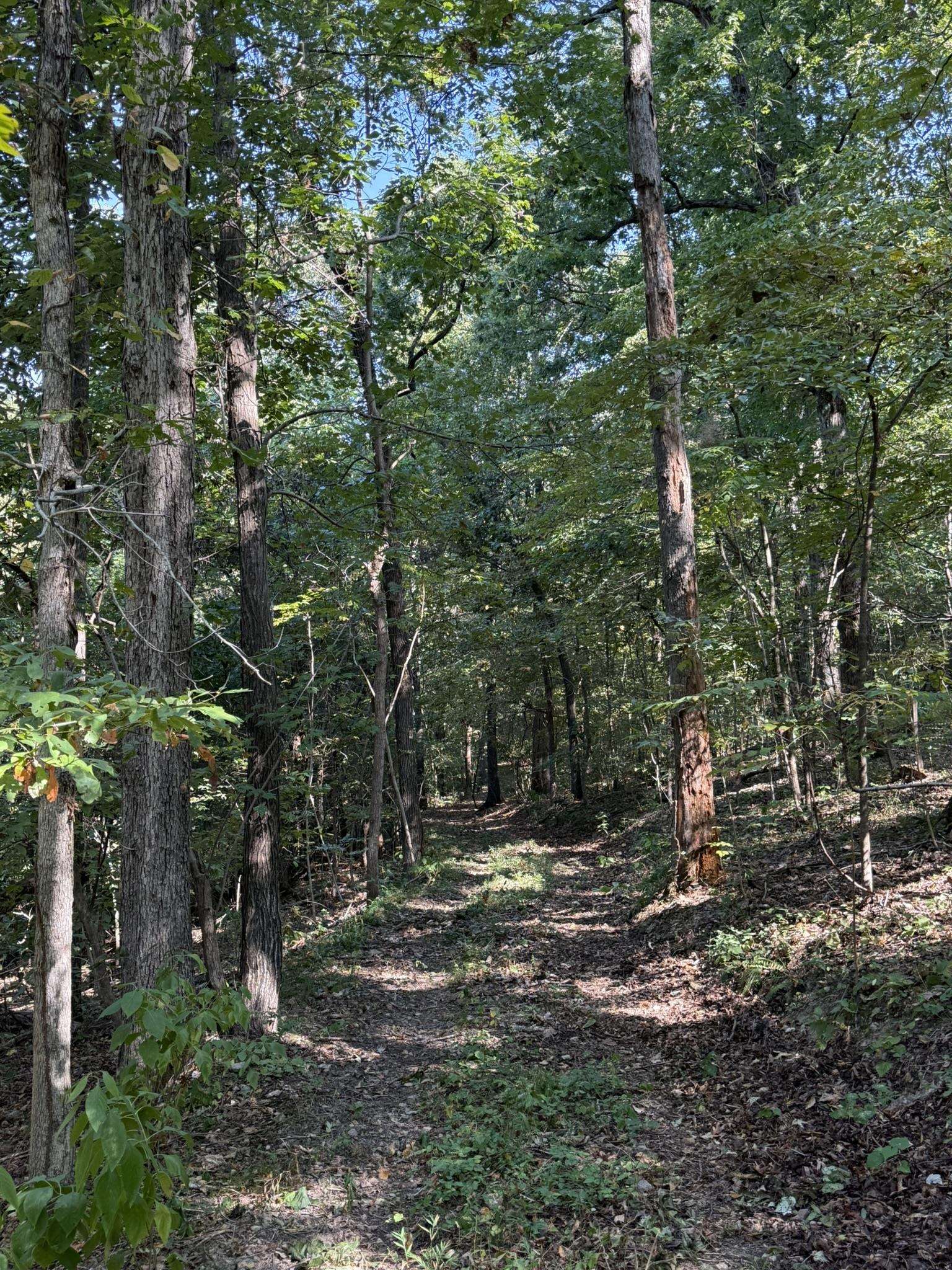 86A Williamson Trail  Guion, AR