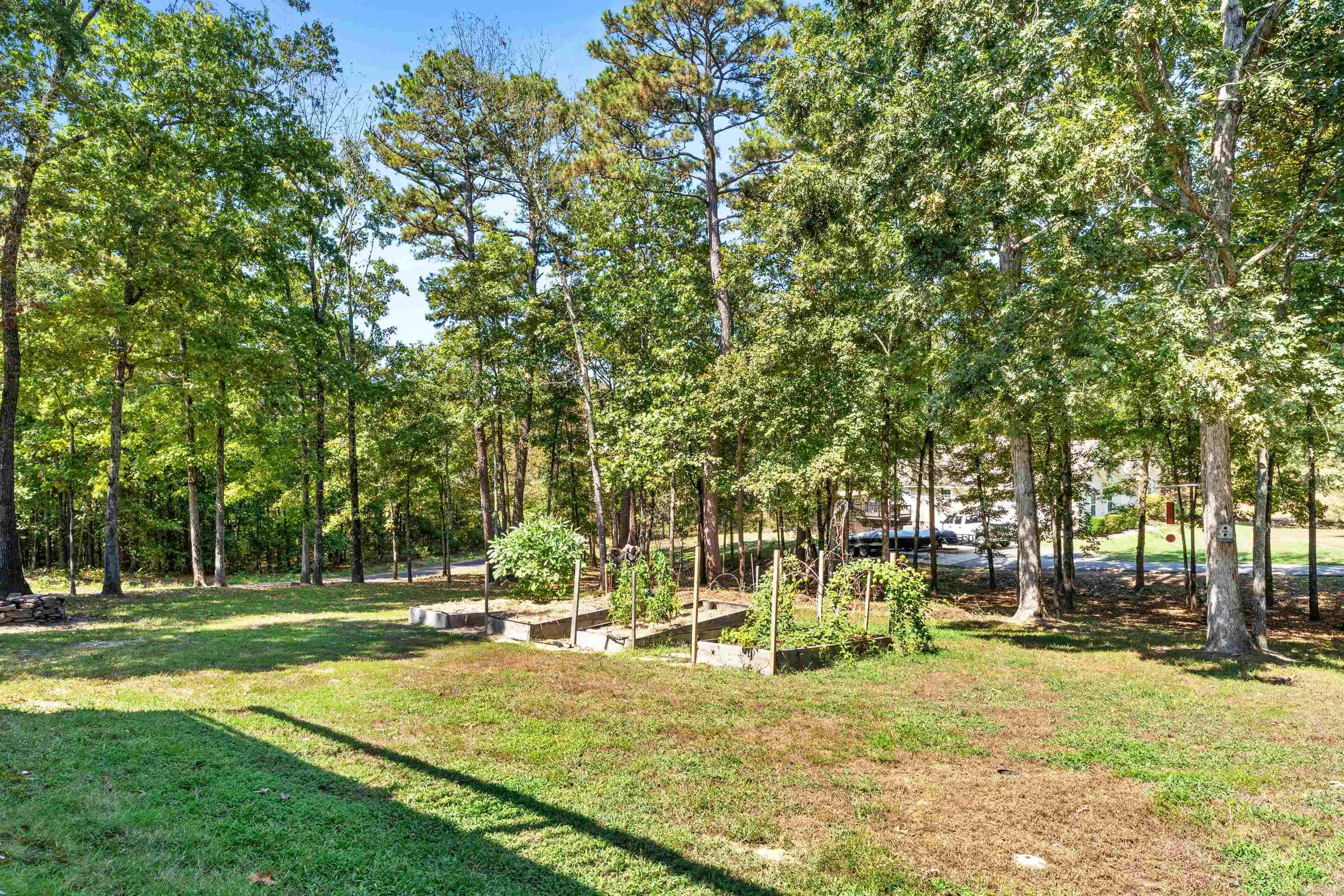 60 Red Fox  Greers Ferry, AR